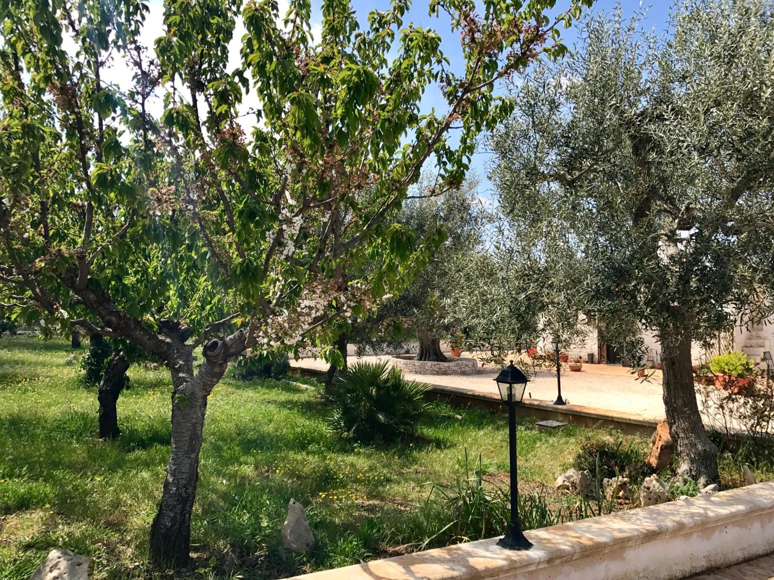 Il Trullo di Giulietta