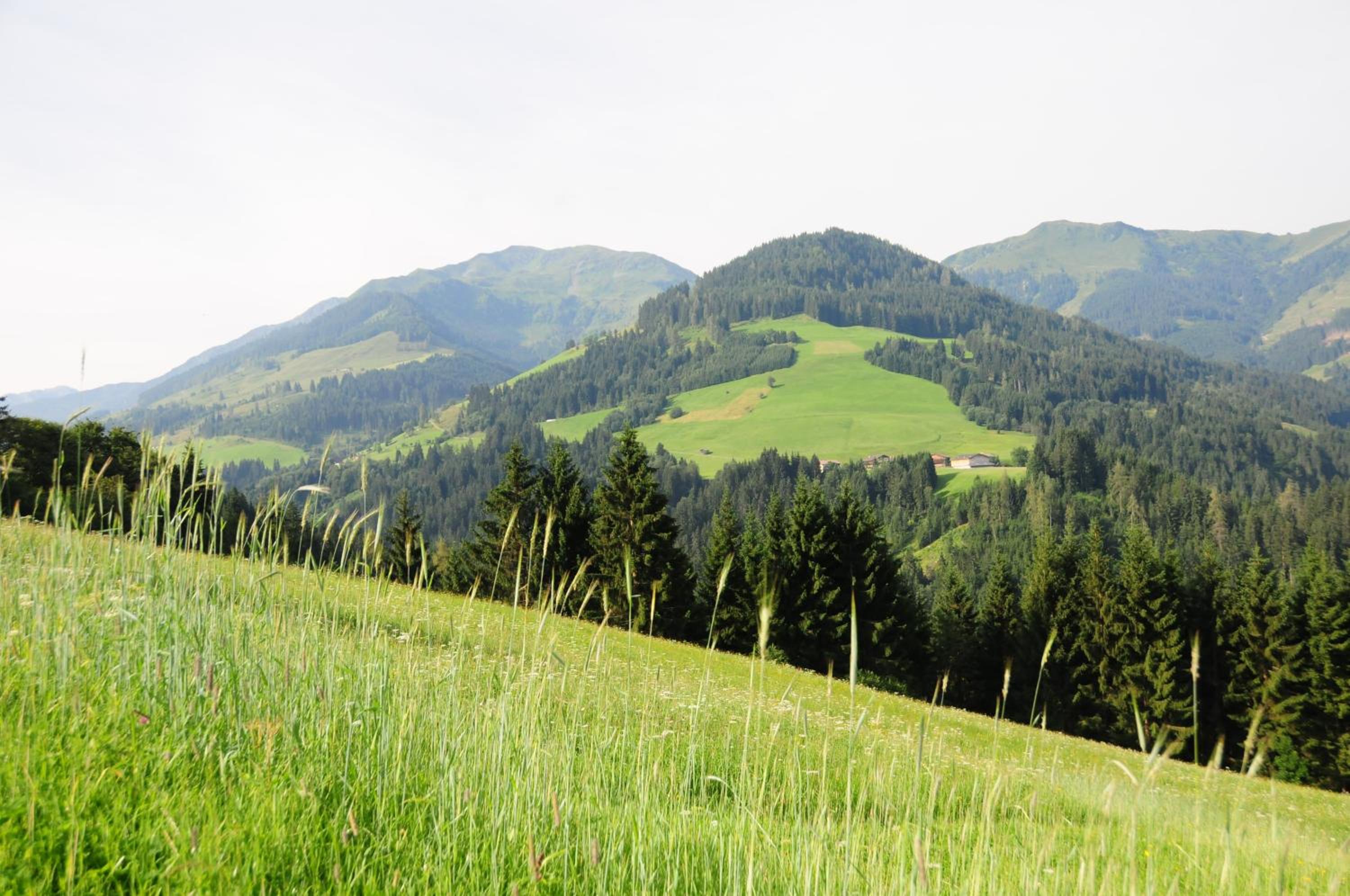Vorderaltensberg
