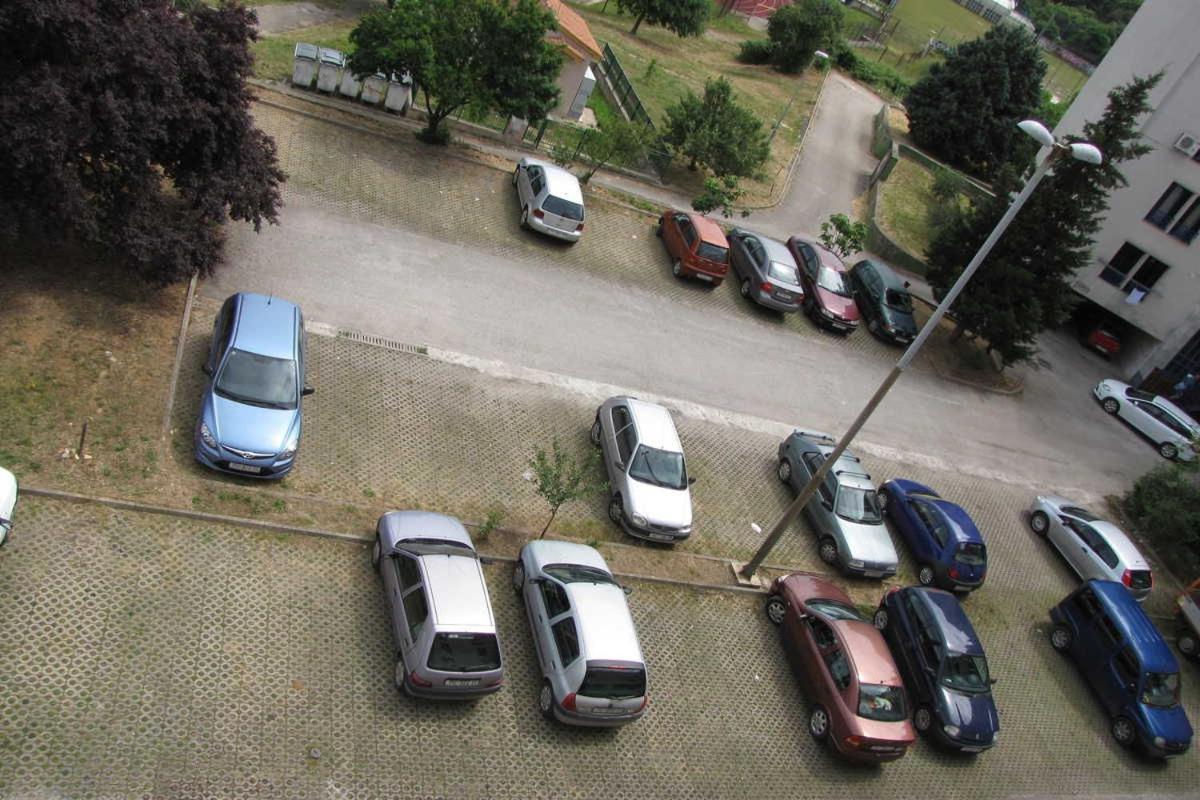 Photo 7