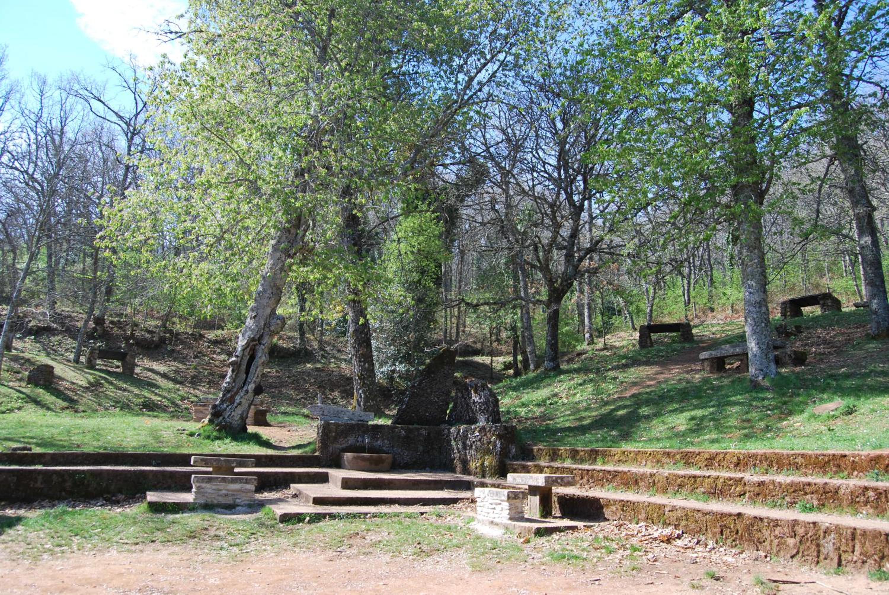 Photo 60