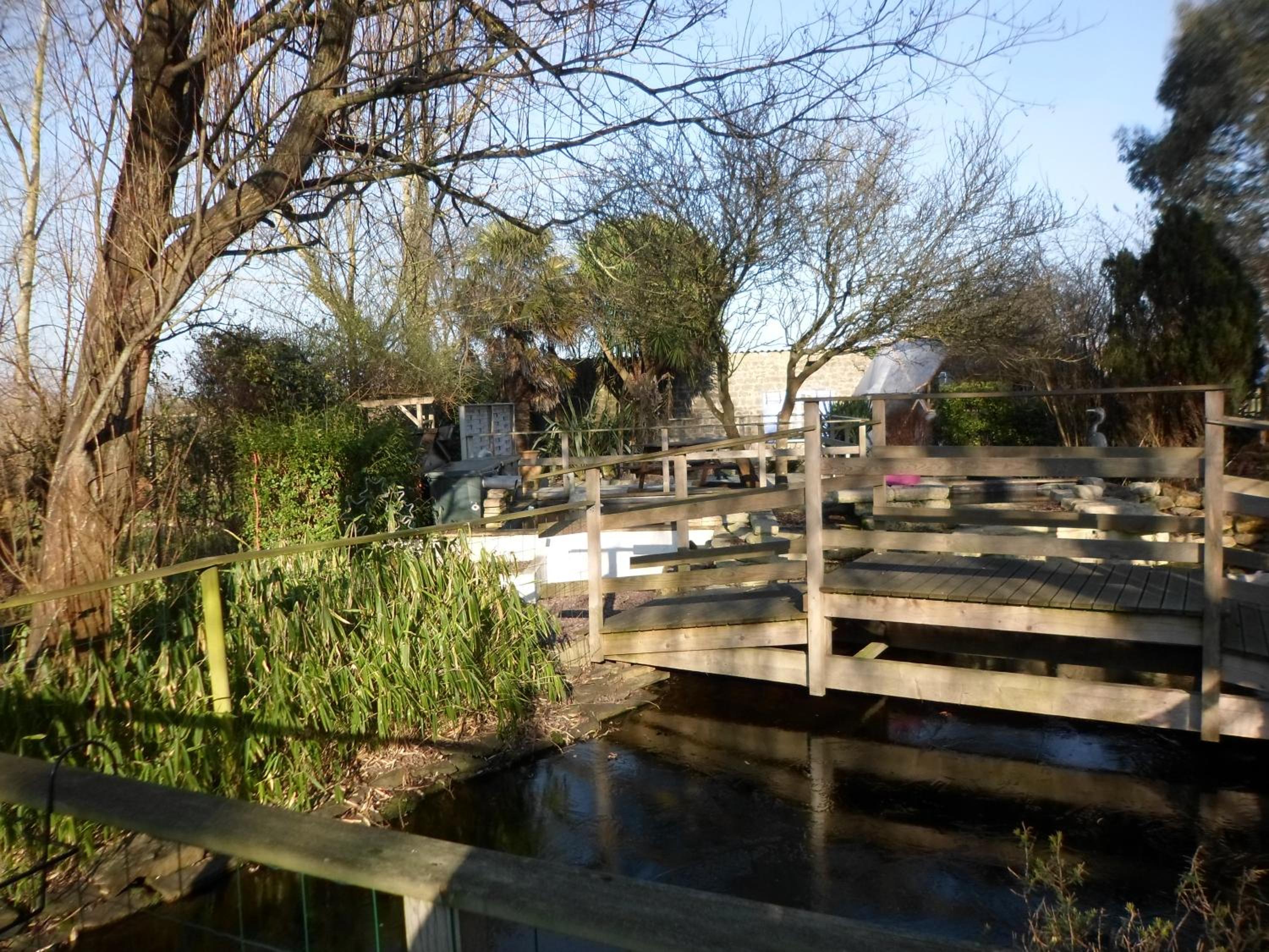Photo 48
