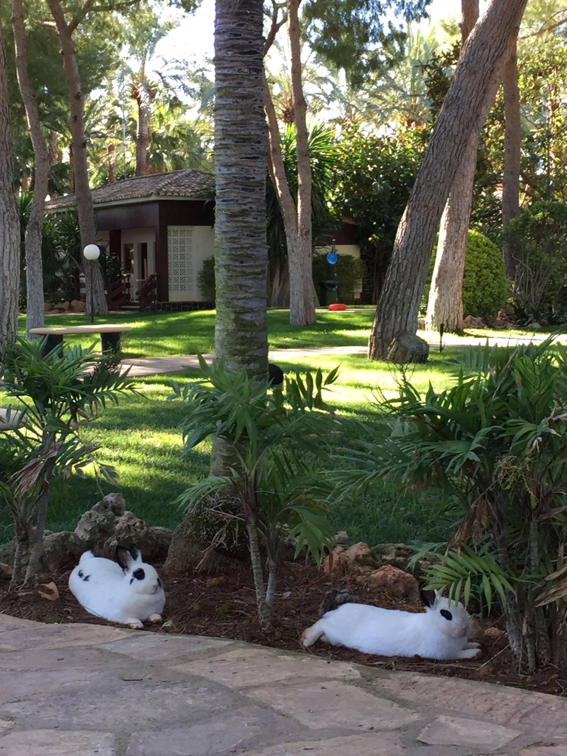 El Oasis Villa Resort
