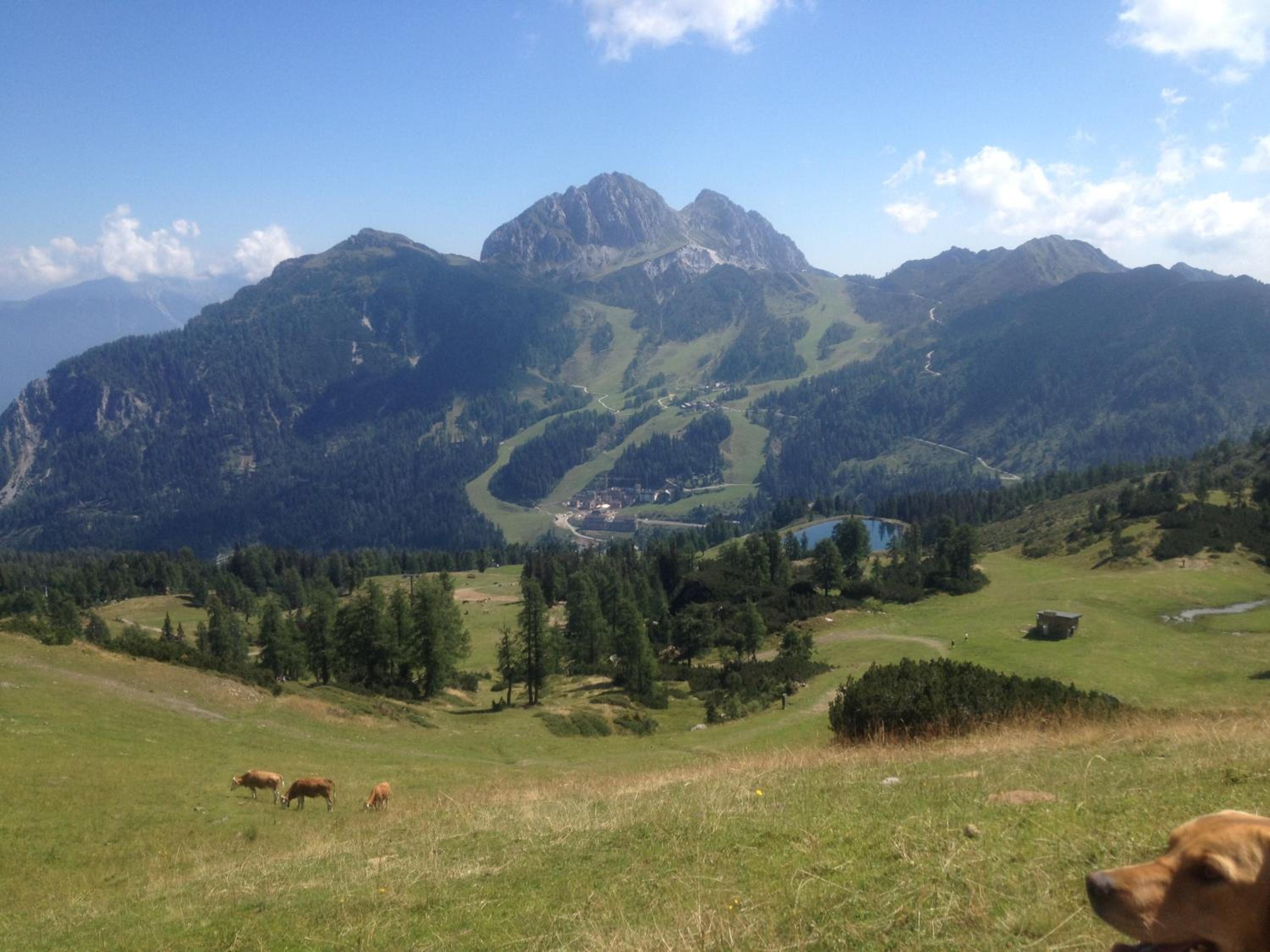 Ferienwohnungen Gritzner