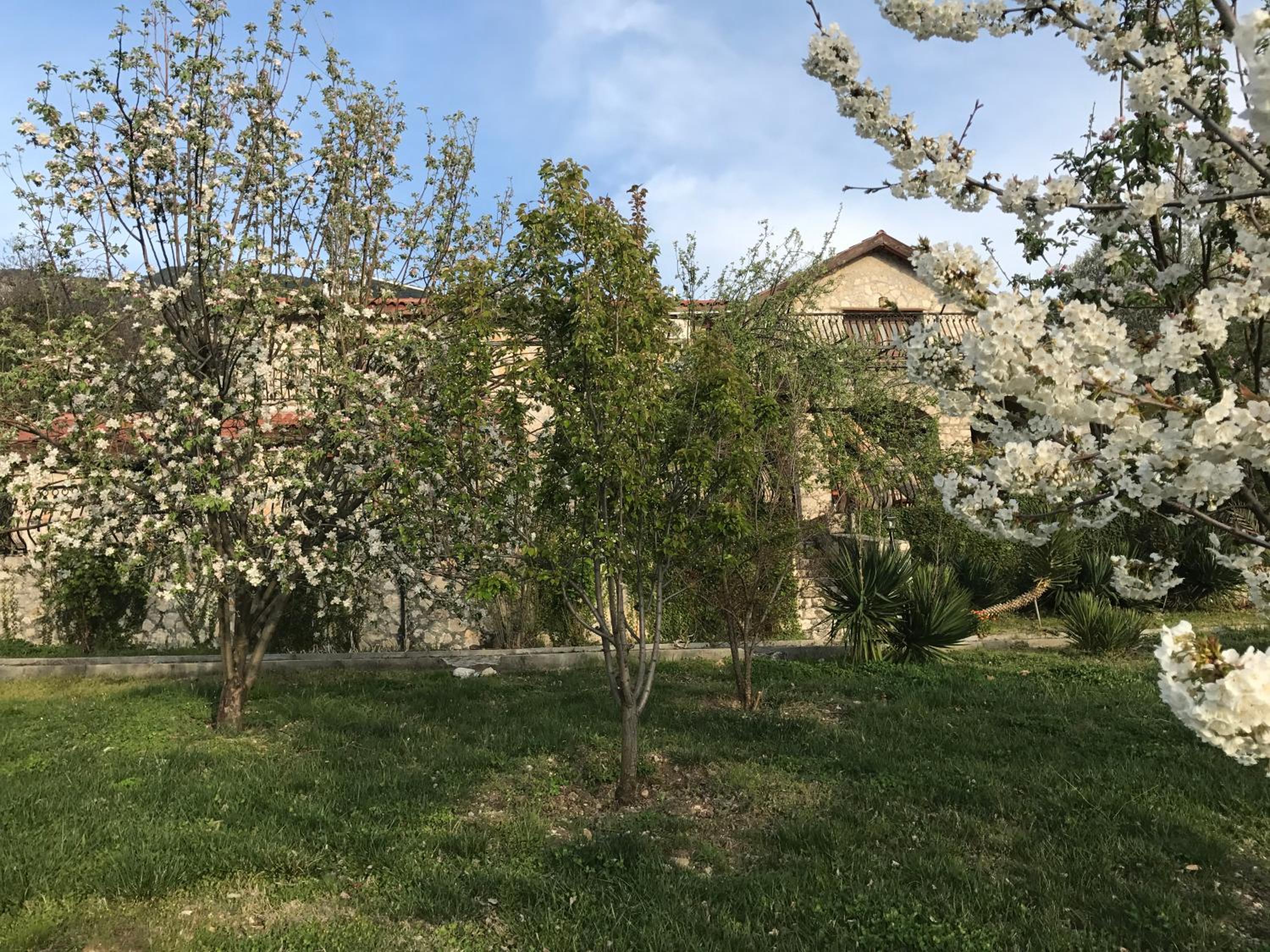 Photo 15