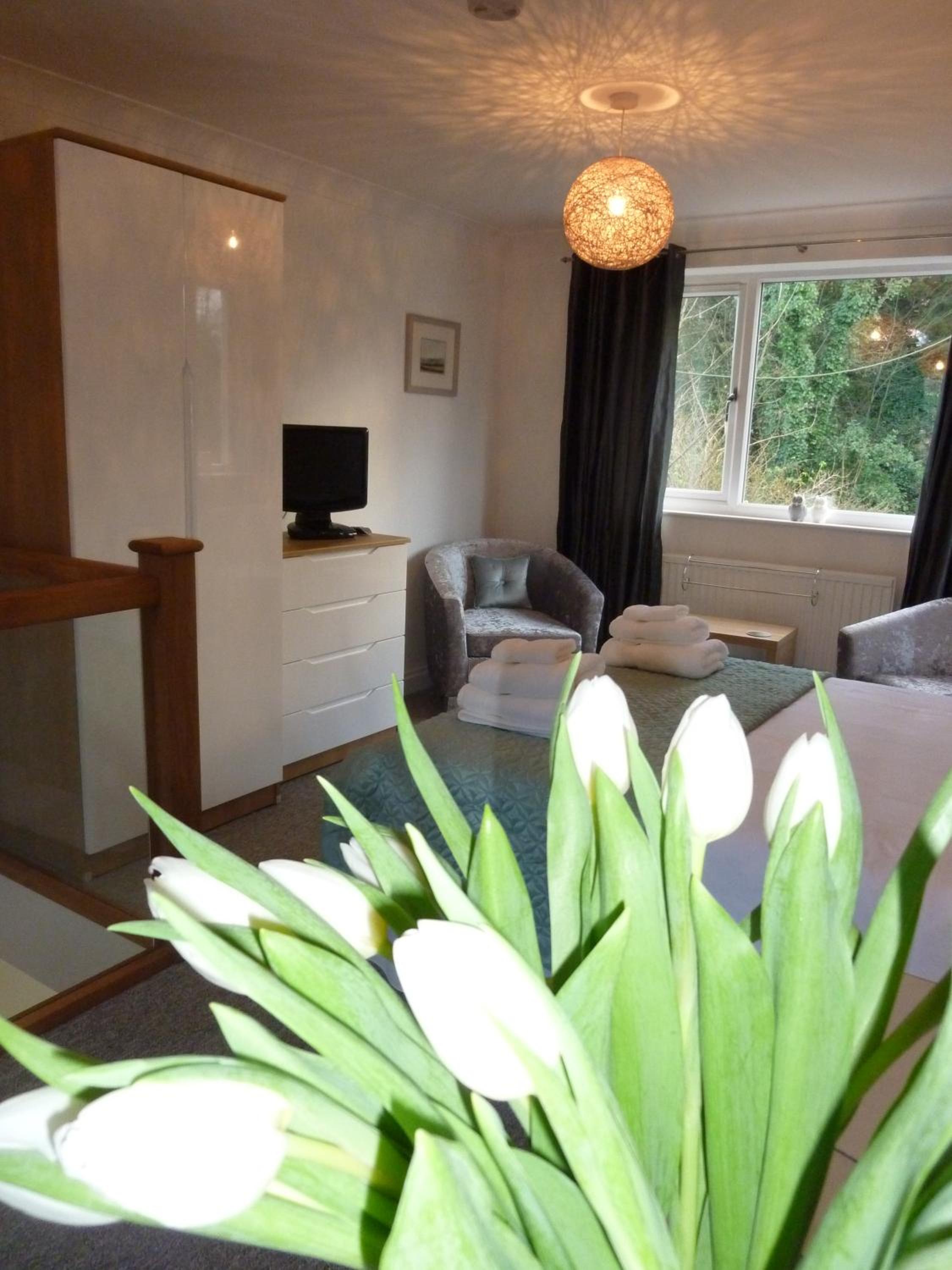 Almondsbury Luxury Apartment view 3