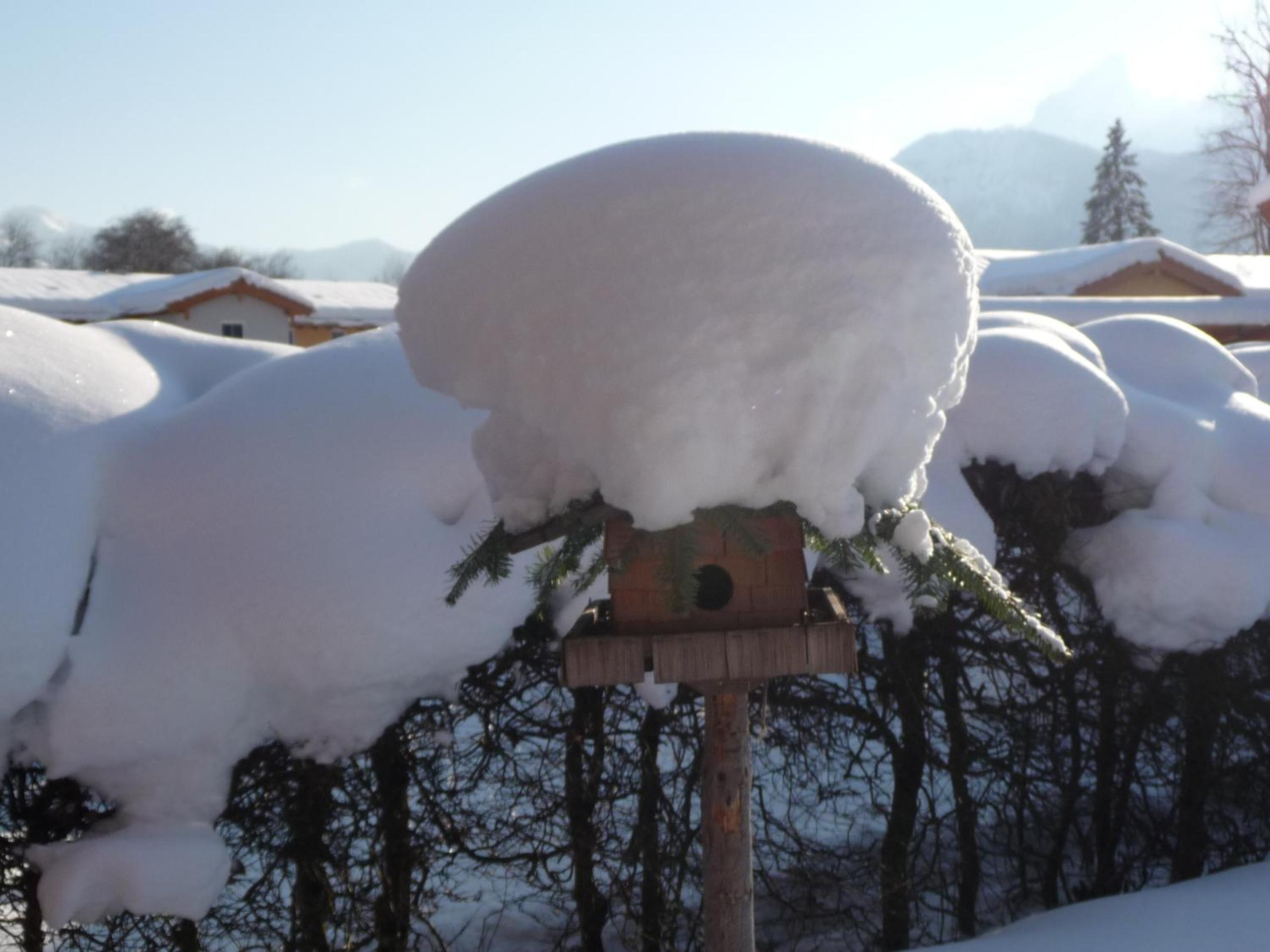 Haus Rosenrot
