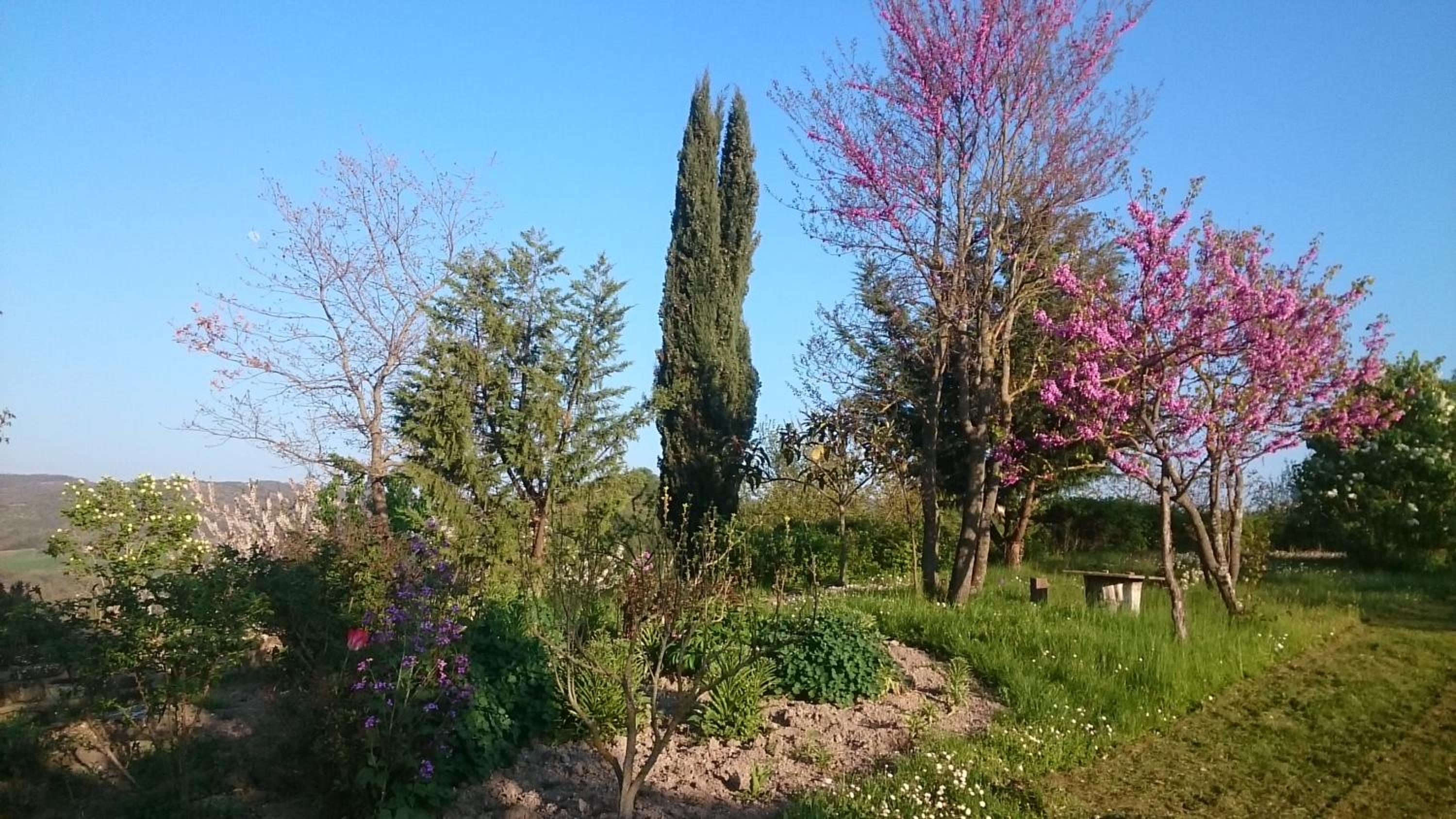 Monte Bibele