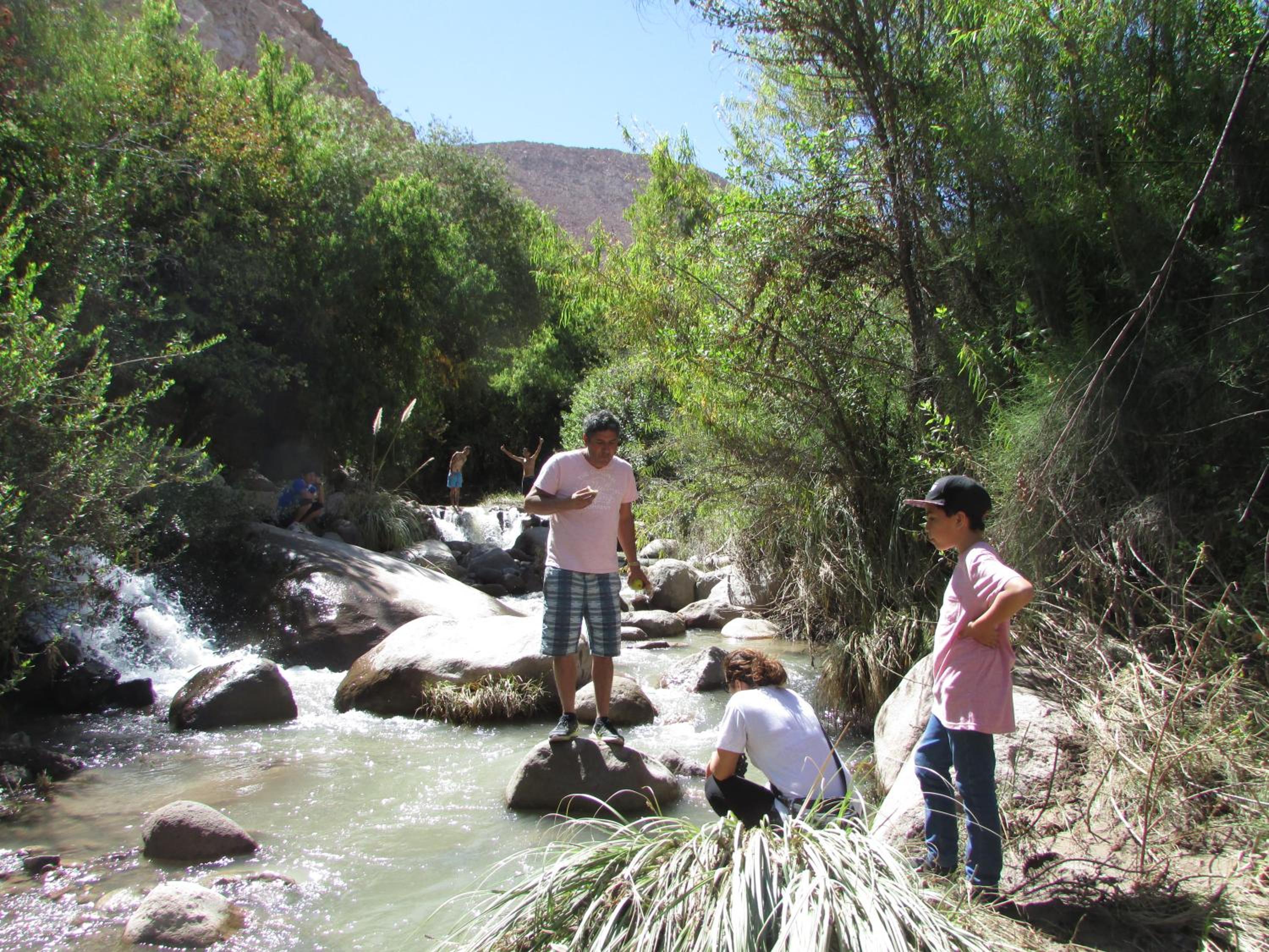 Cabañas Turísticas Guañacagua - Valle de Codpa