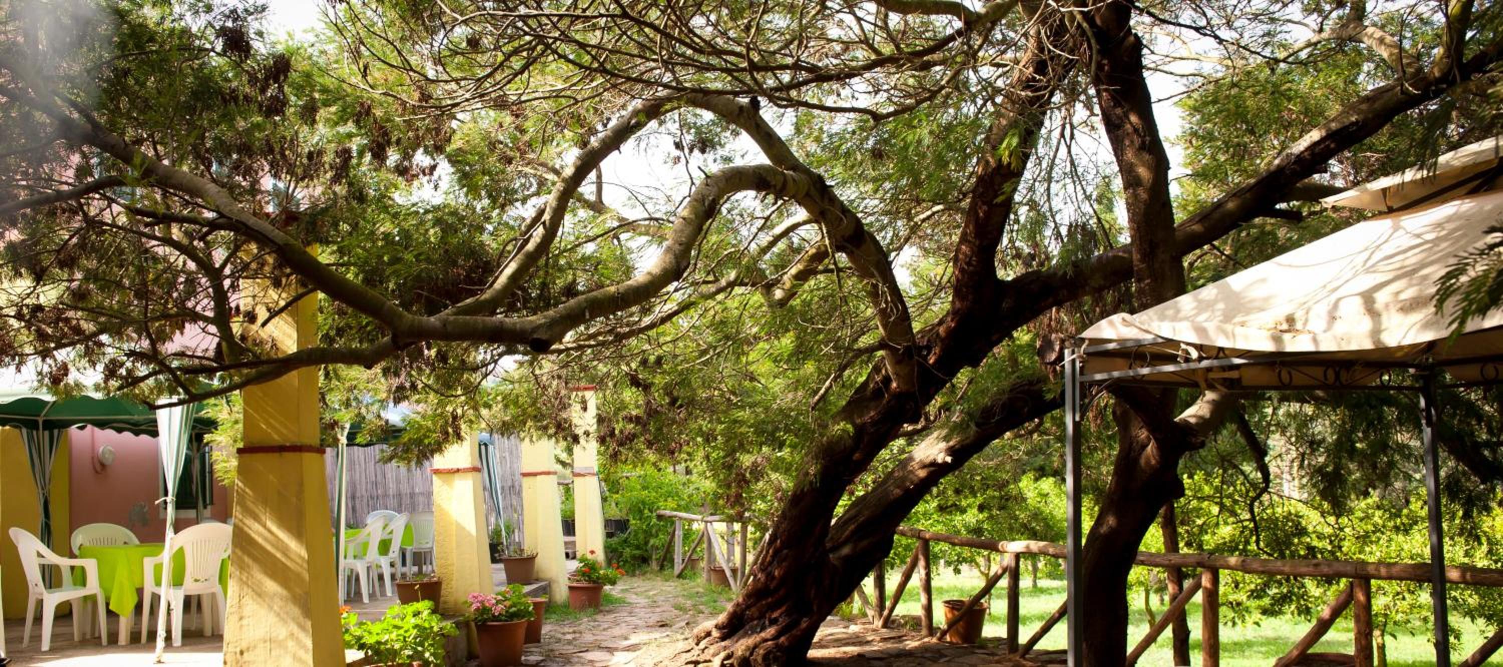 Agriturismo Menhir