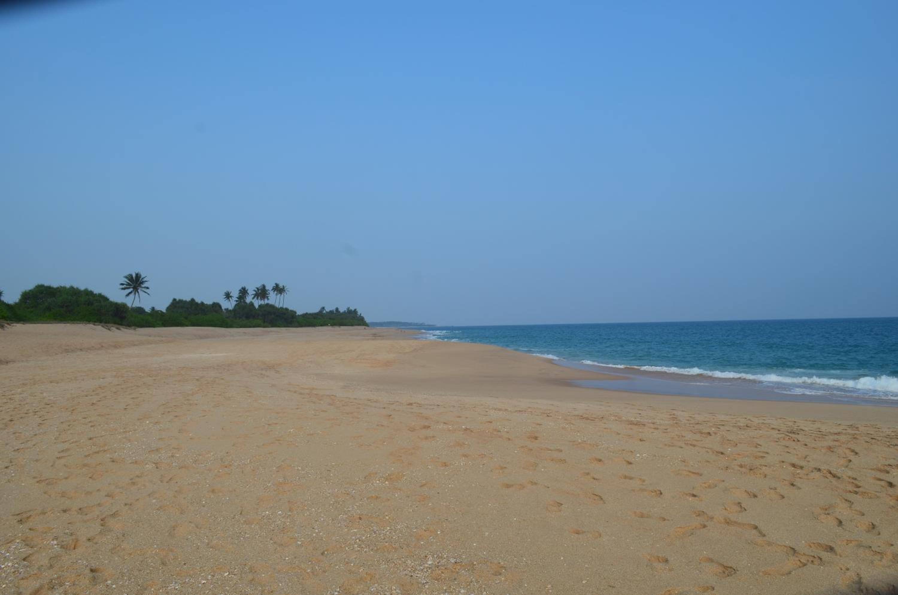 The Waves Beach Chalets