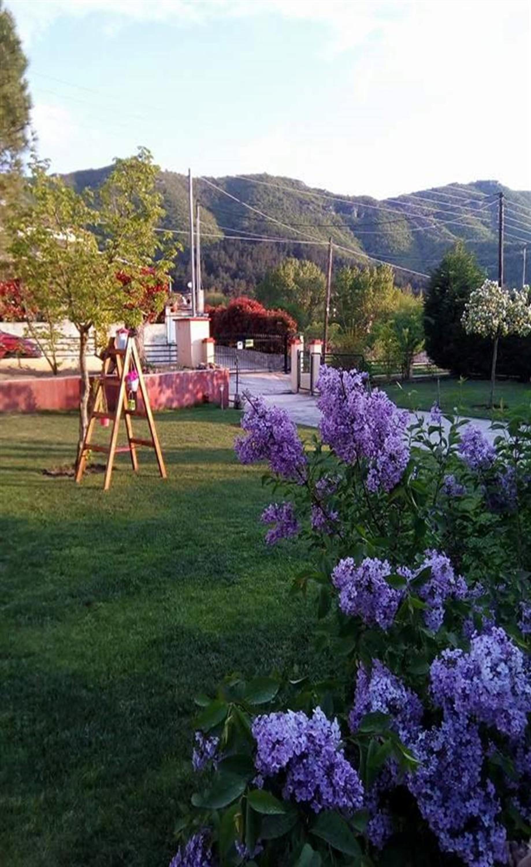Kavala Villa 360 degrees green view 5