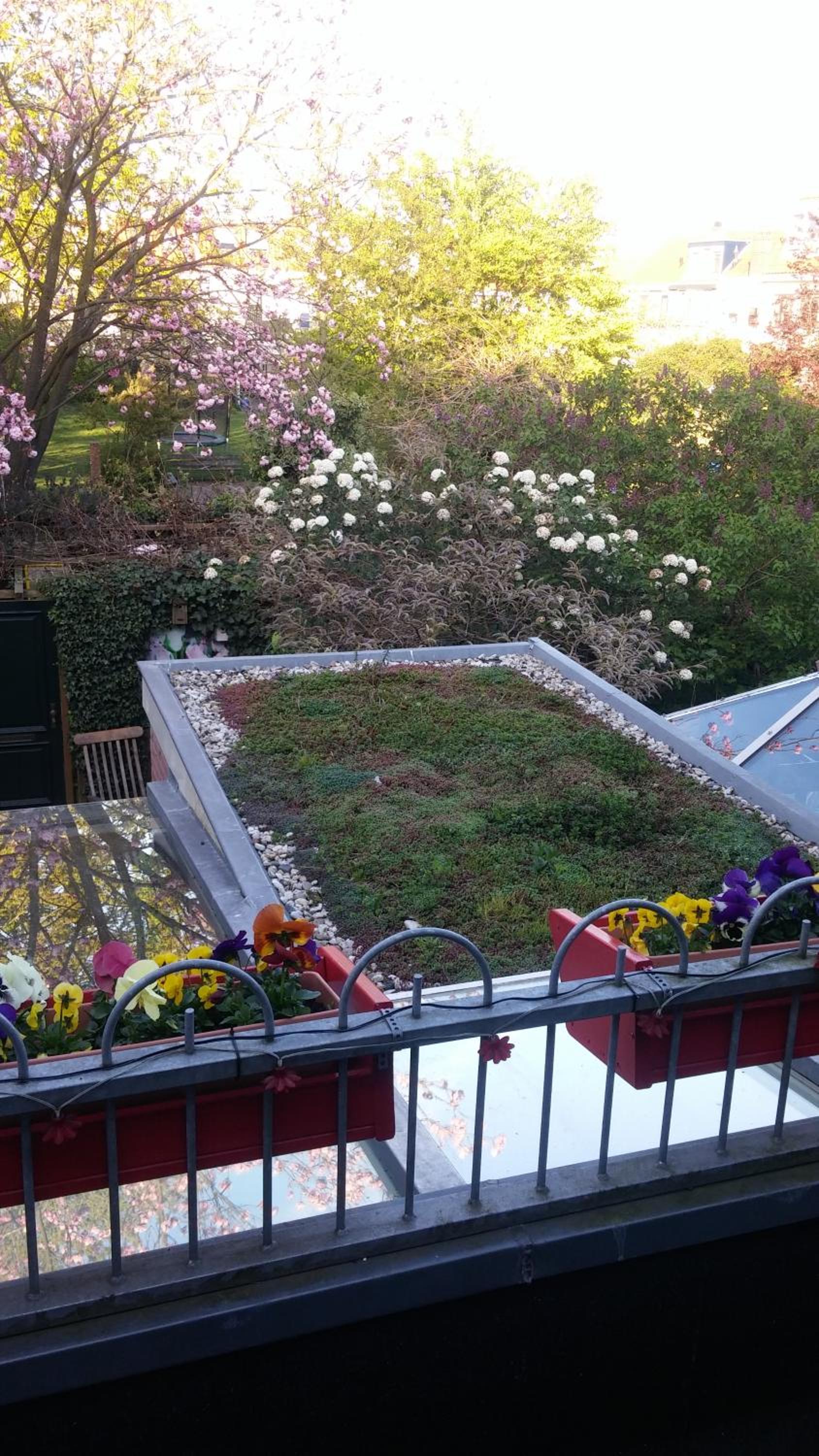 roof