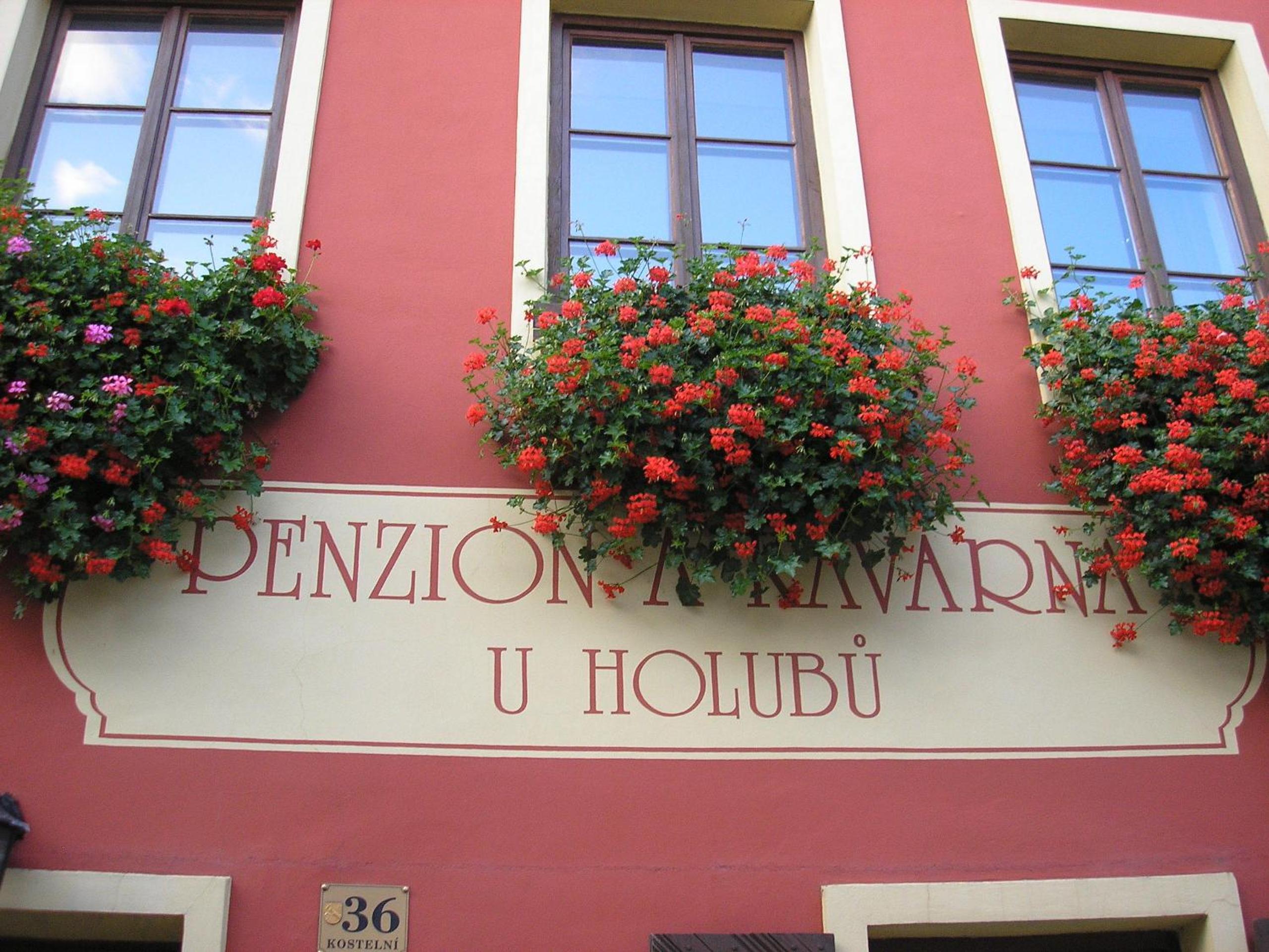 Penzion U Holubů Nový Jičín