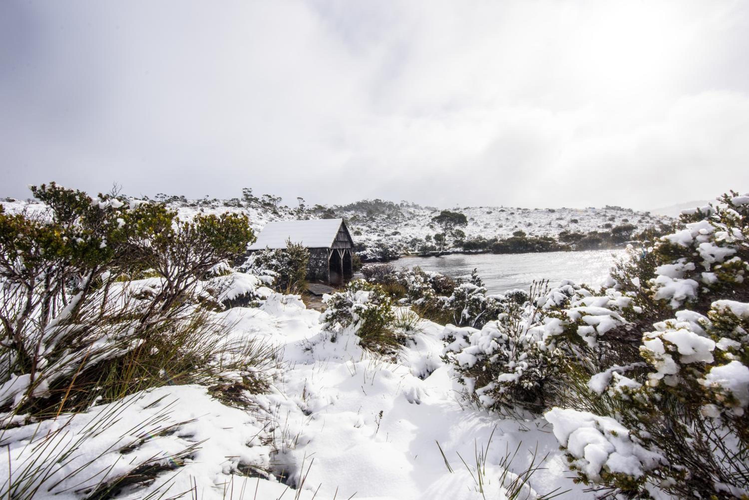 Discovery Resorts – Cradle Mountain 33