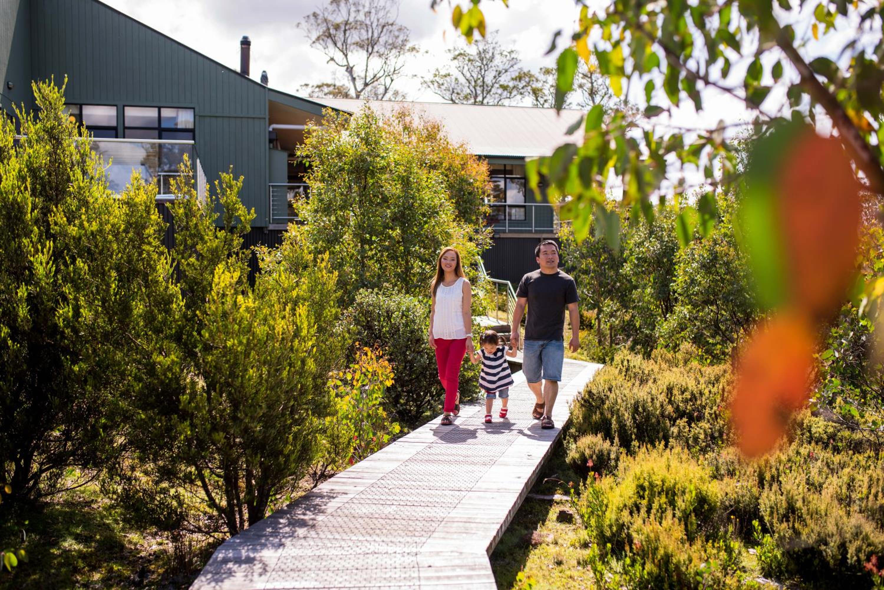 Discovery Resorts – Cradle Mountain 18