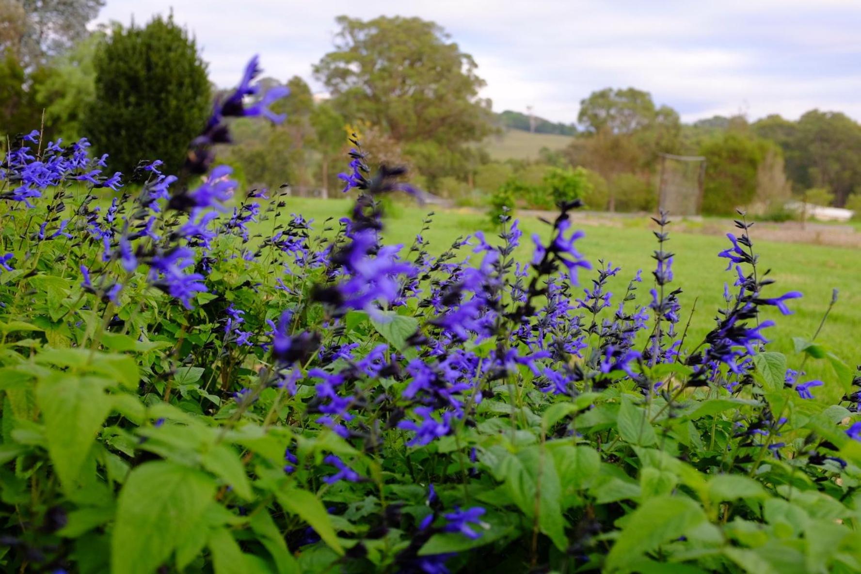 Bryn Glas Farm Stay