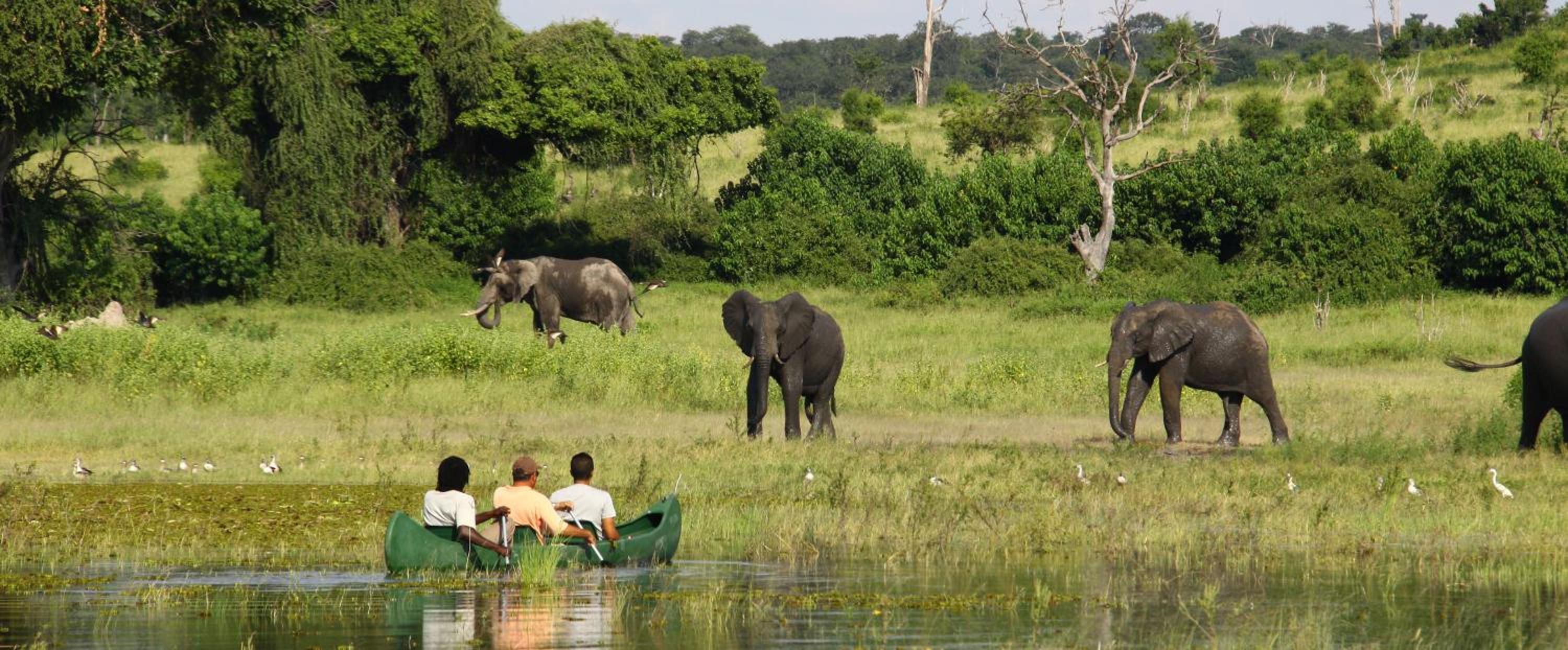 Chobe River Camp view 4