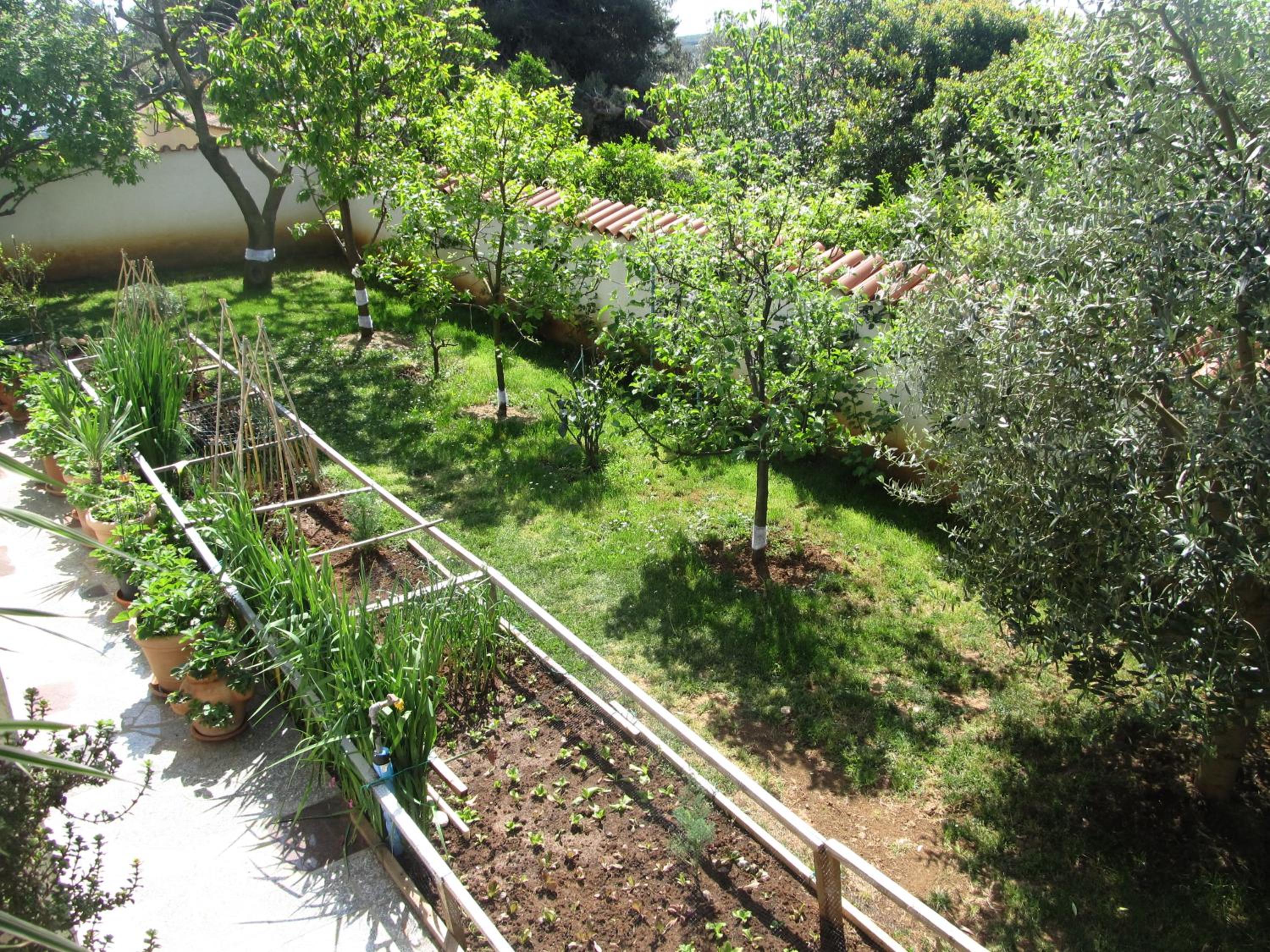 Photo 20
