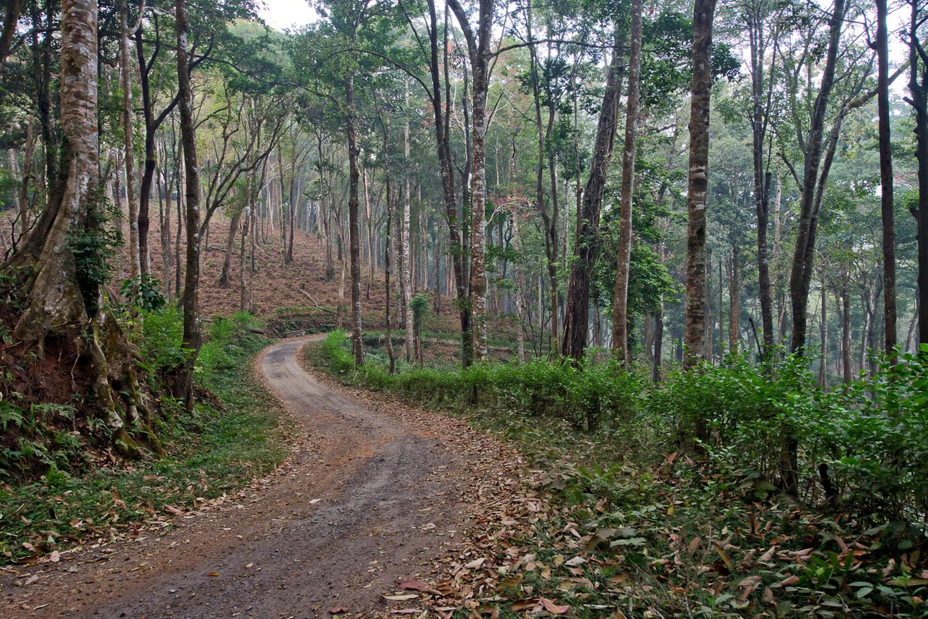 Three Hills Resort & Spa, Coorg