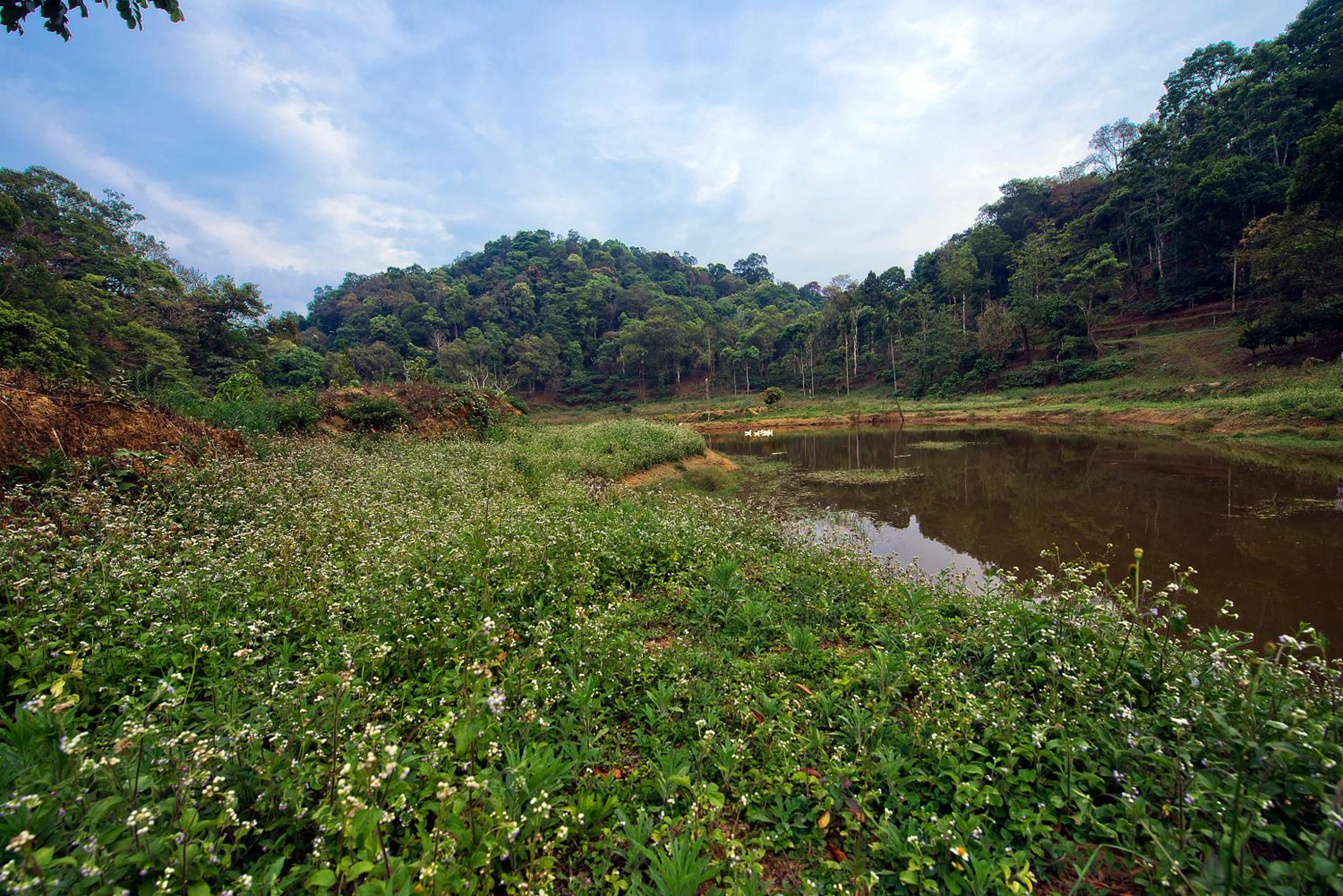 Three Hills Resort & Spa, Coorg