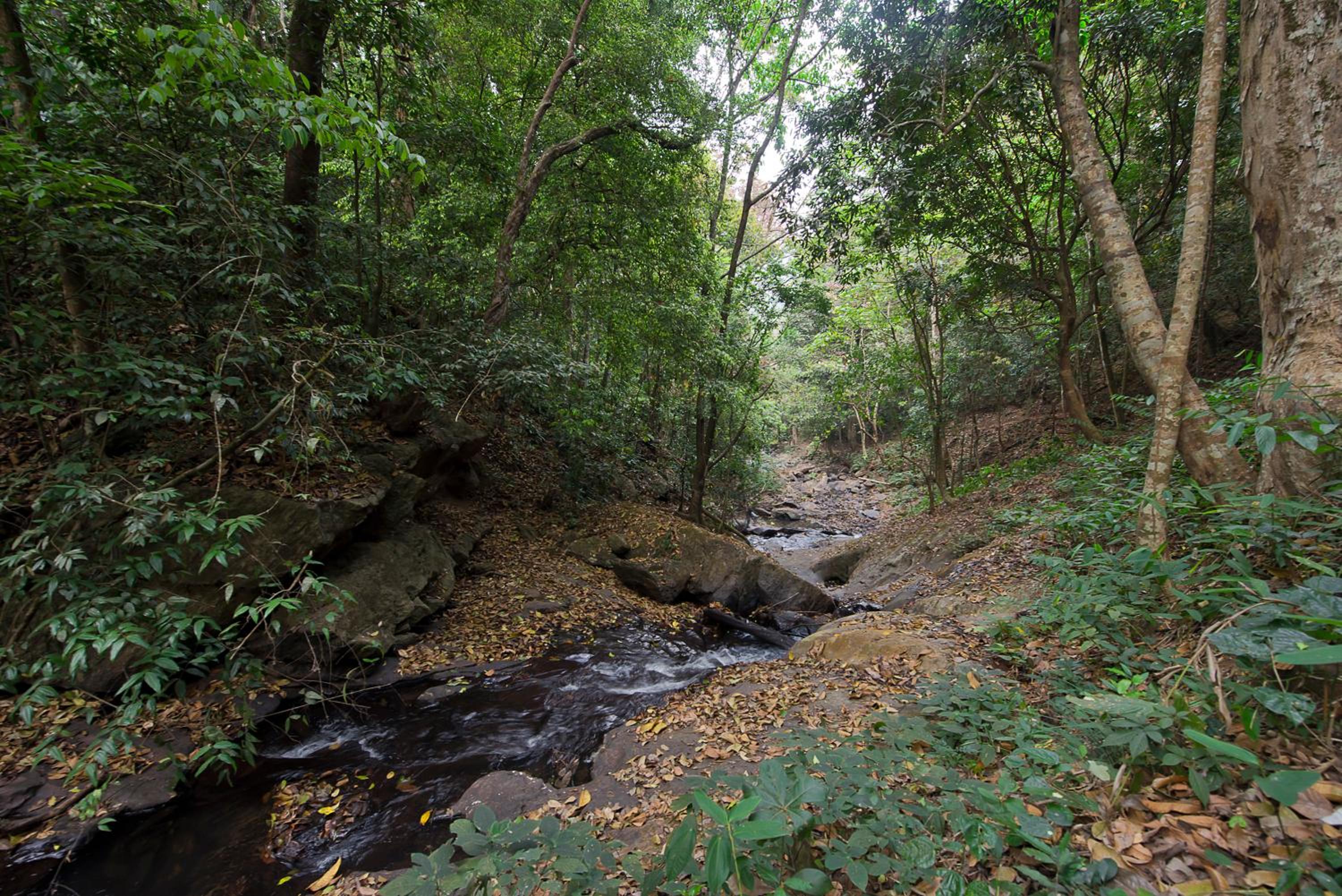 Three Hills Resort & Spa, Coorg