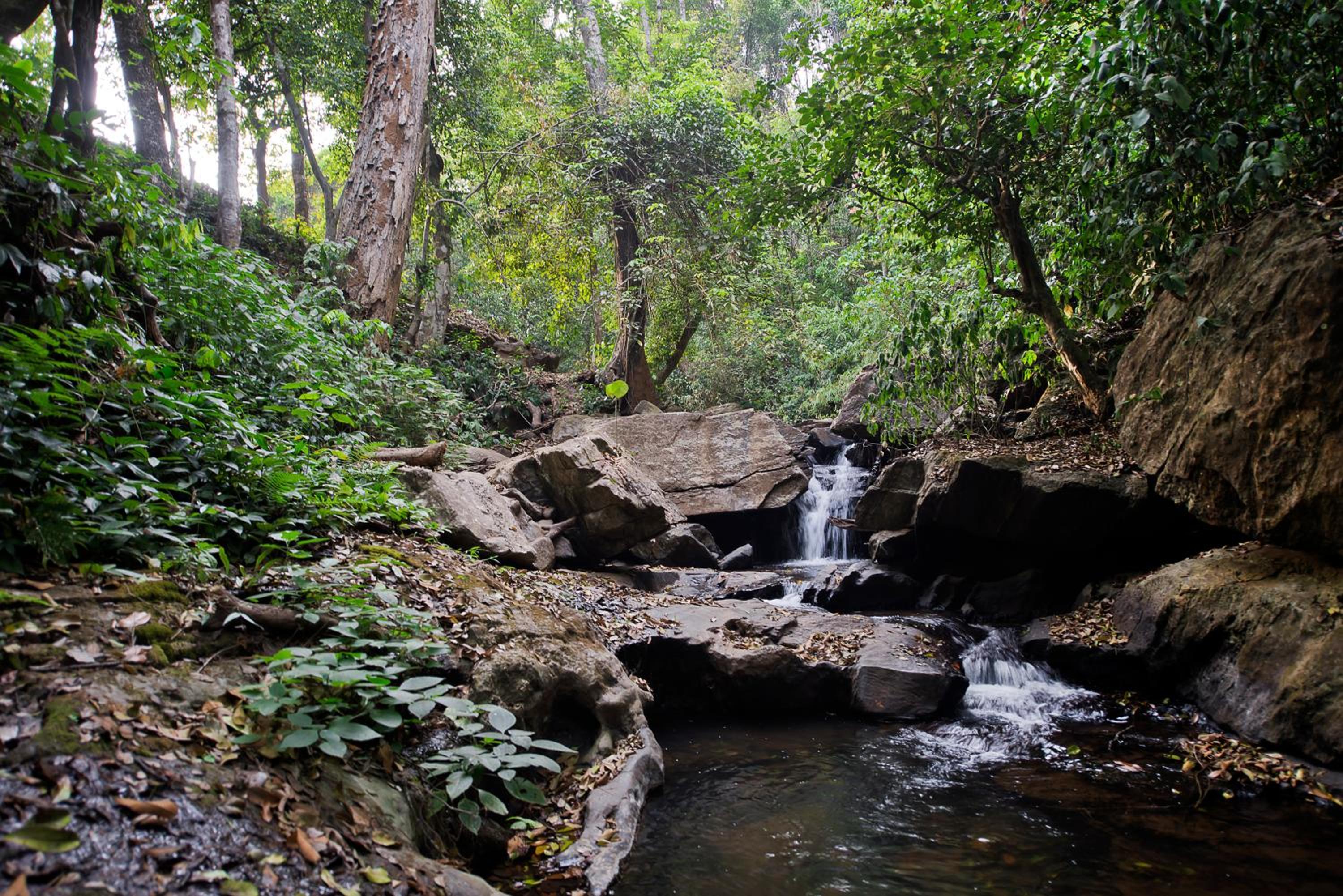 Three Hills Resort & Spa, Coorg