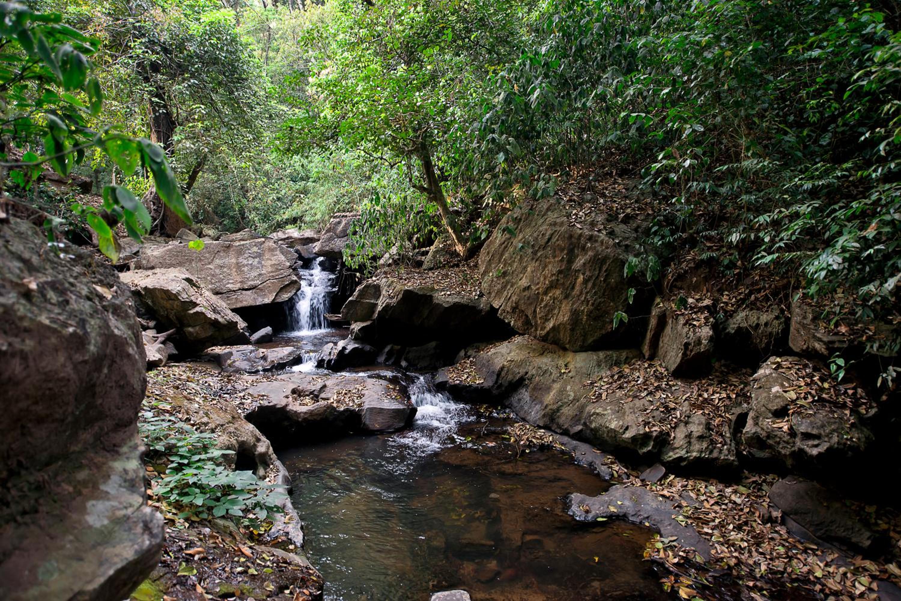 Three Hills Resort & Spa, Coorg