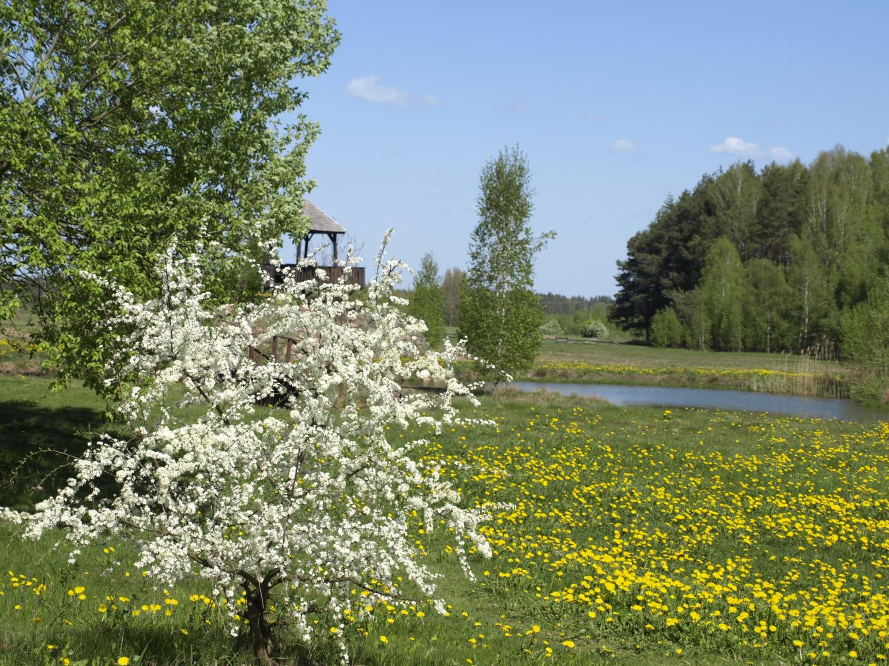 Wieża marzeń view 5