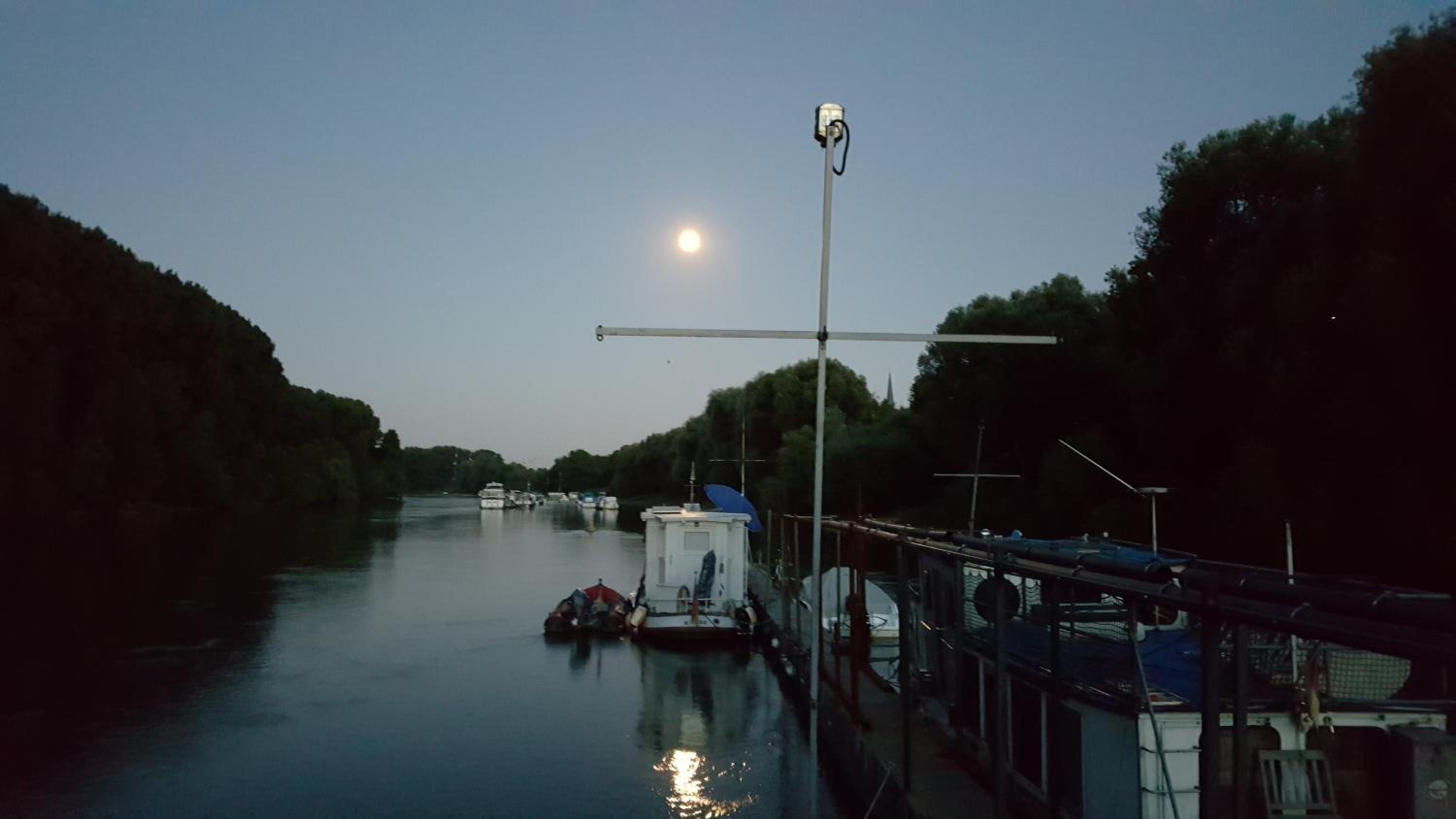 Photo 45