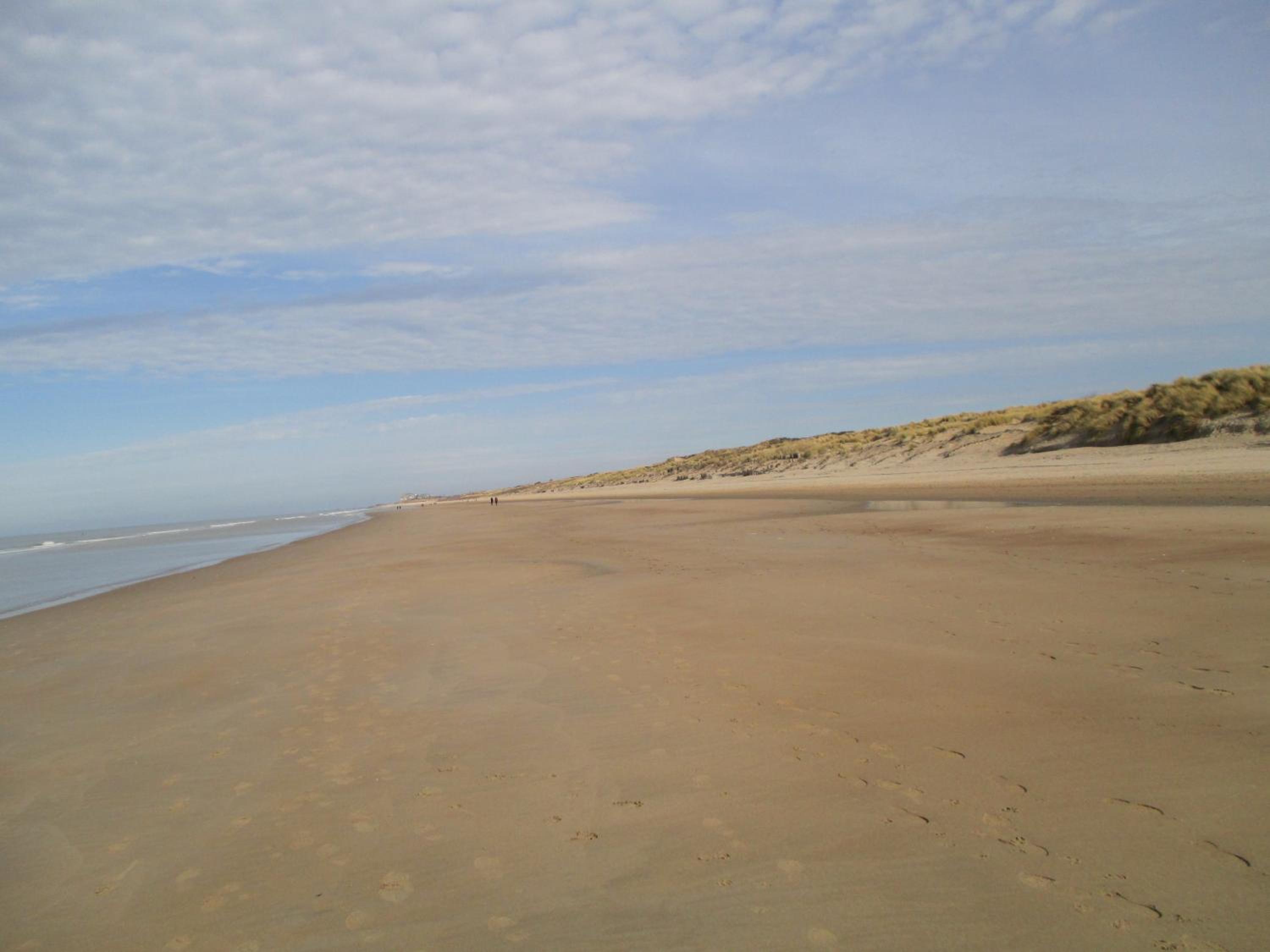 Photo 39