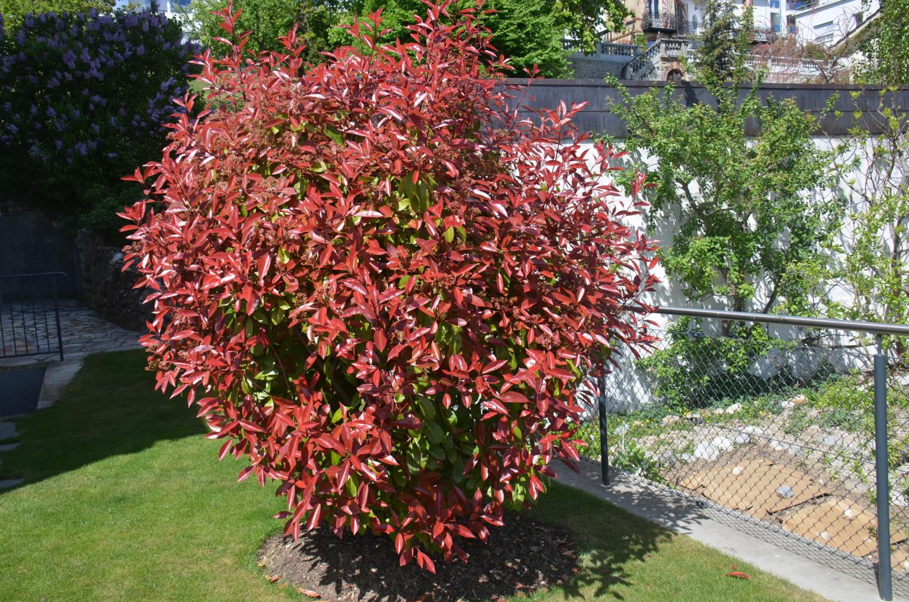 Photo 45