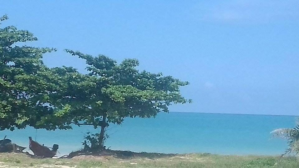 Bamboo Resort