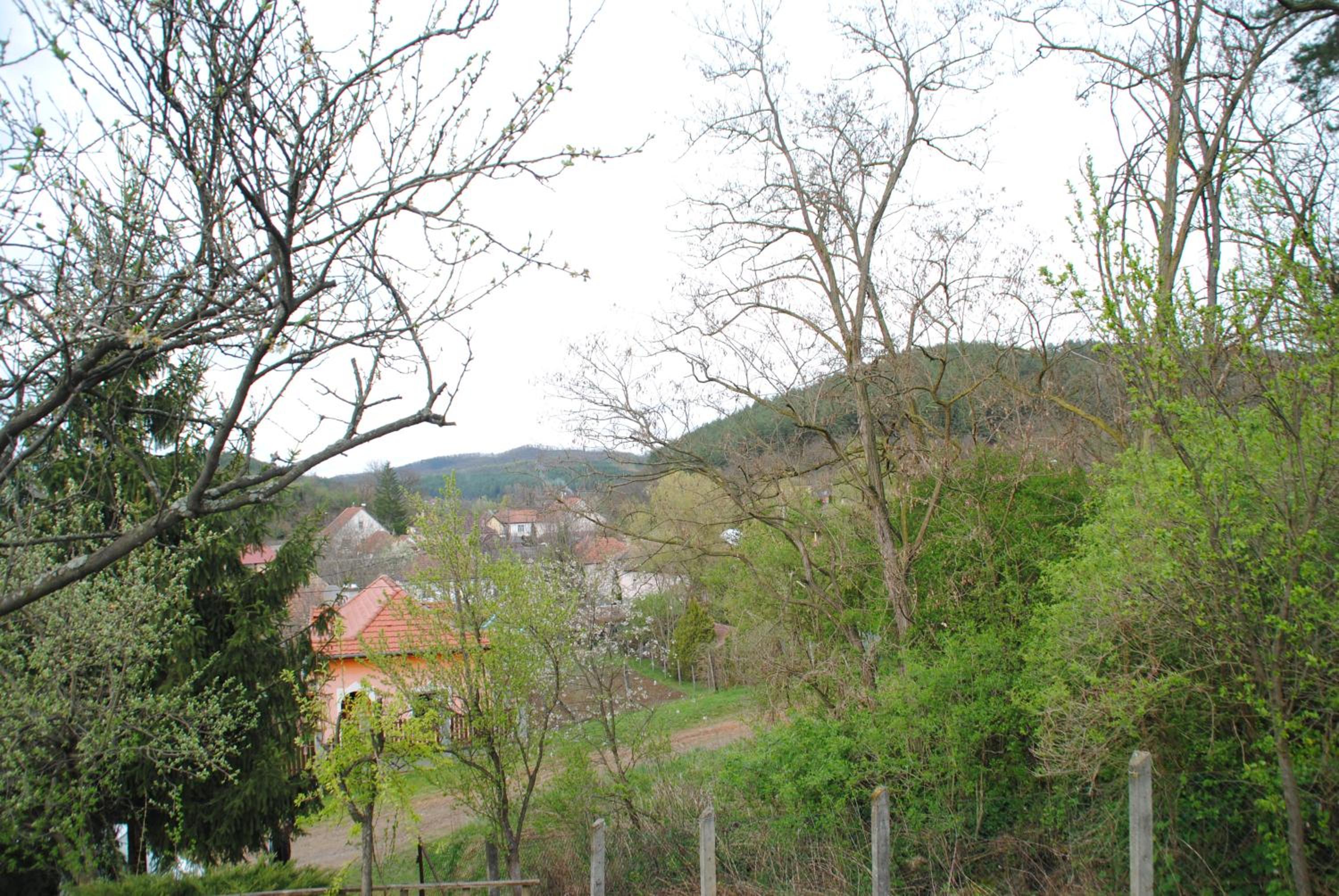 Photo 30