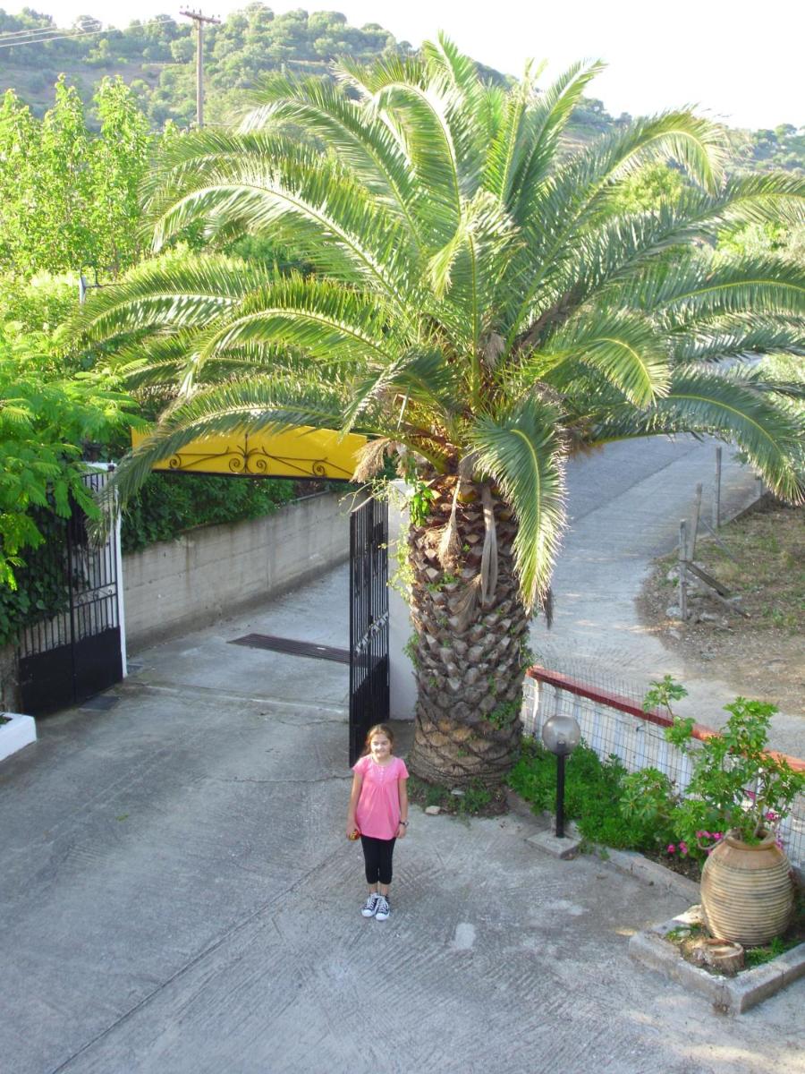 Photo 38