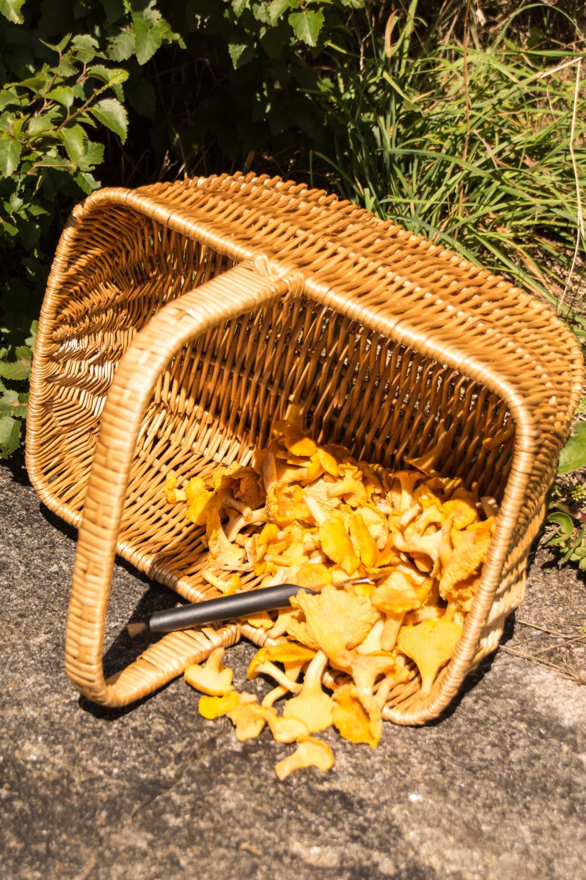 Seläter Camping