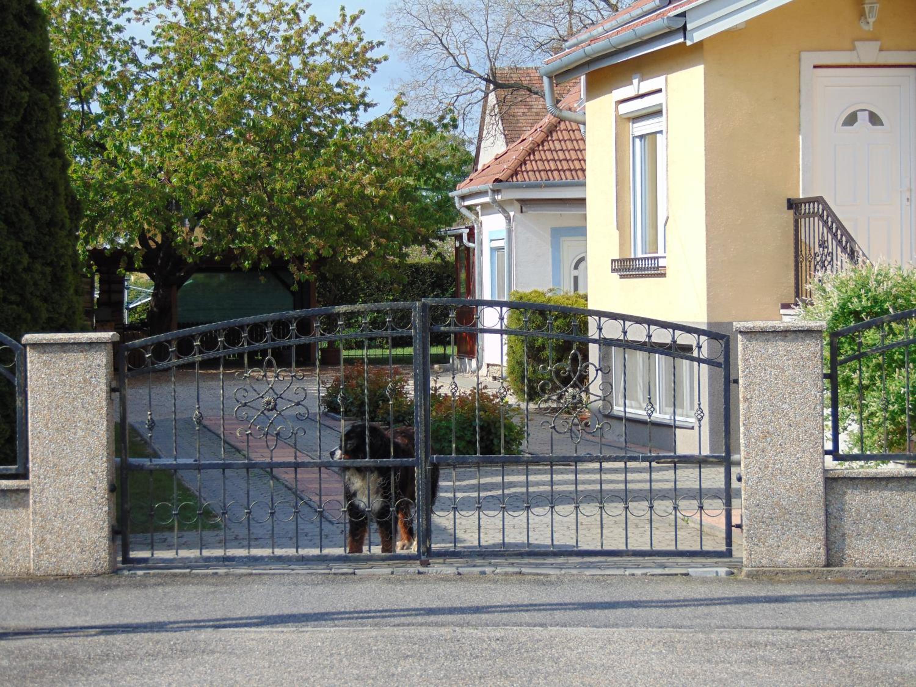 Photo 13