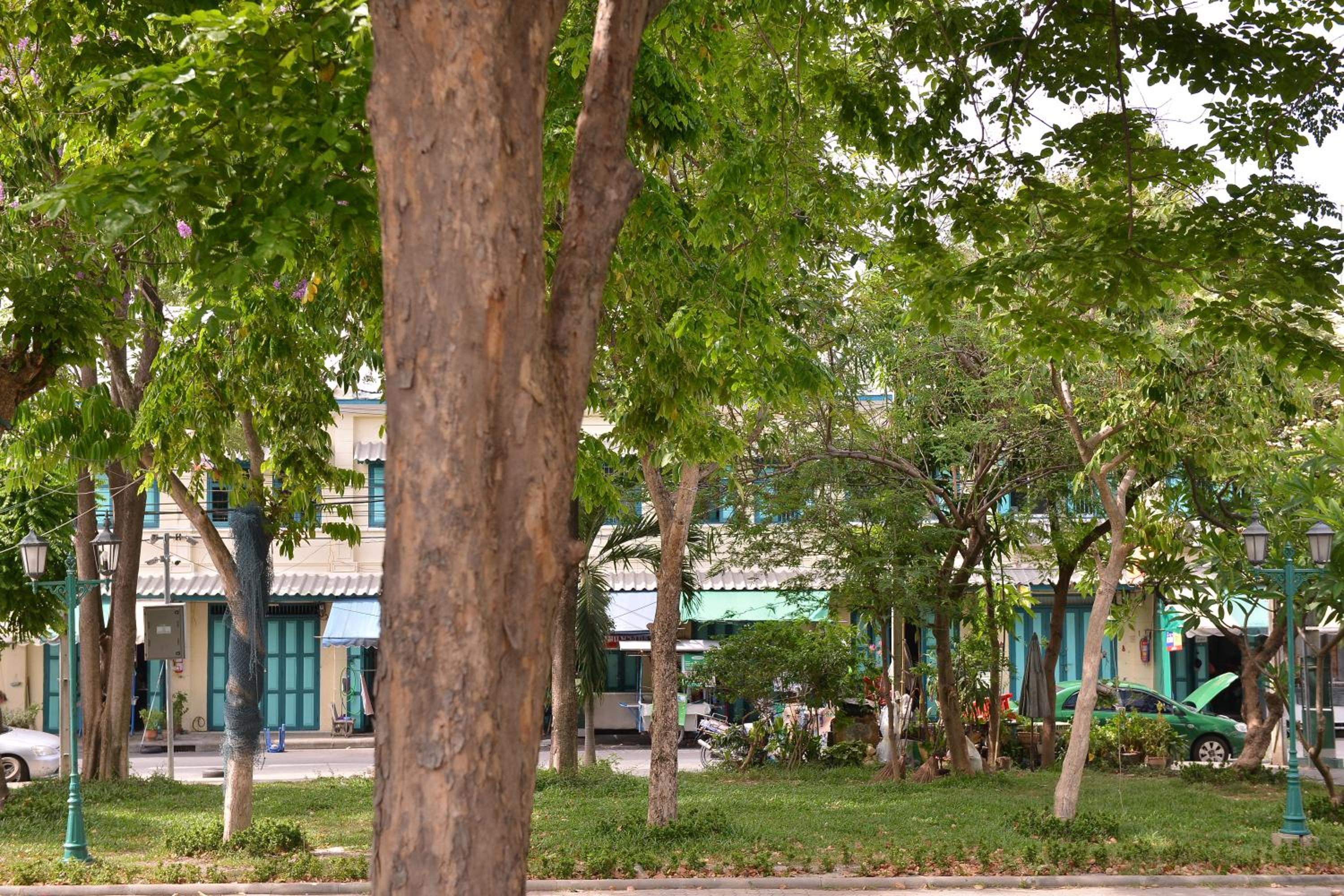 Neighbor Phuthon