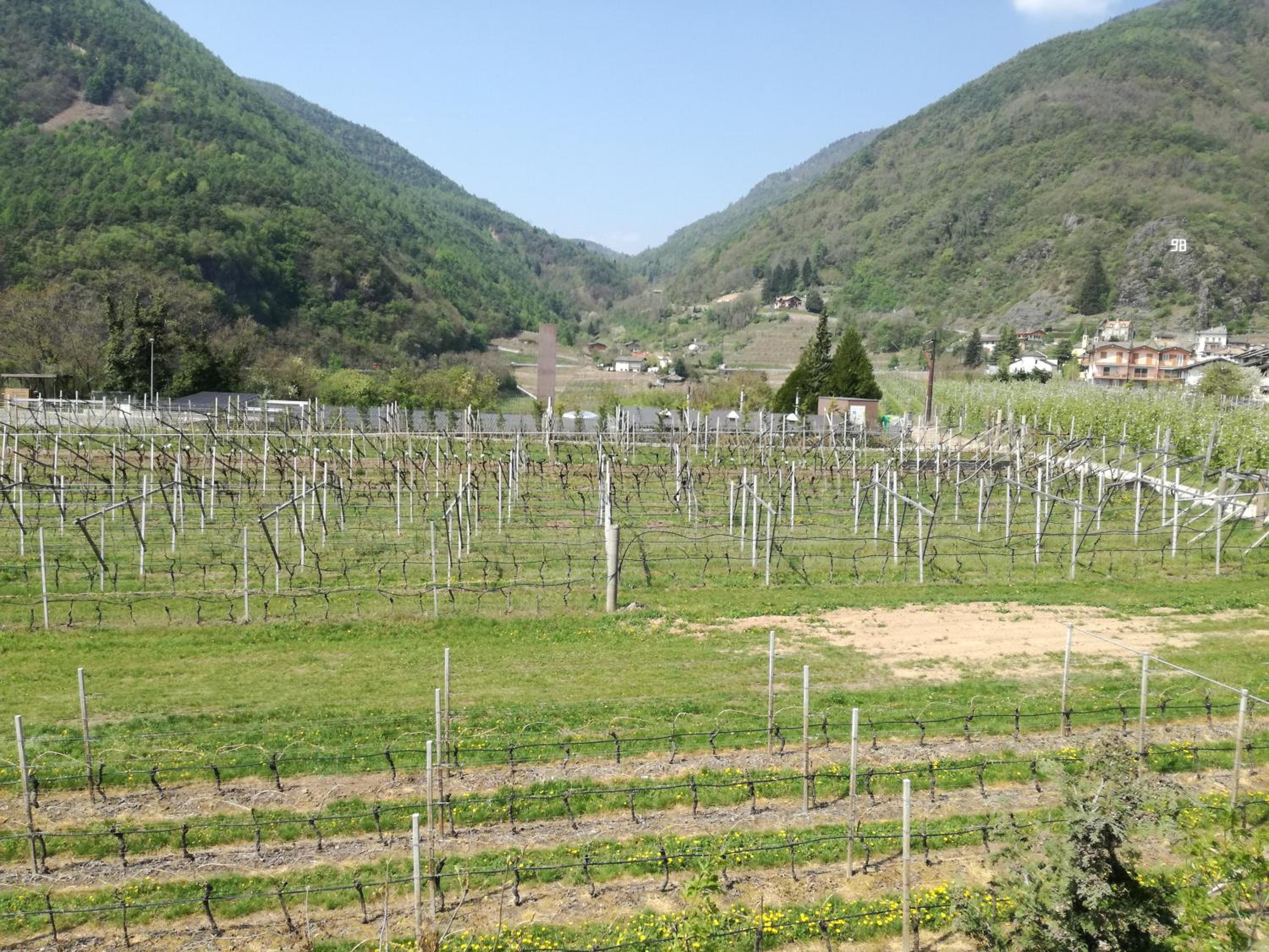 Agriturismo Le Cavade