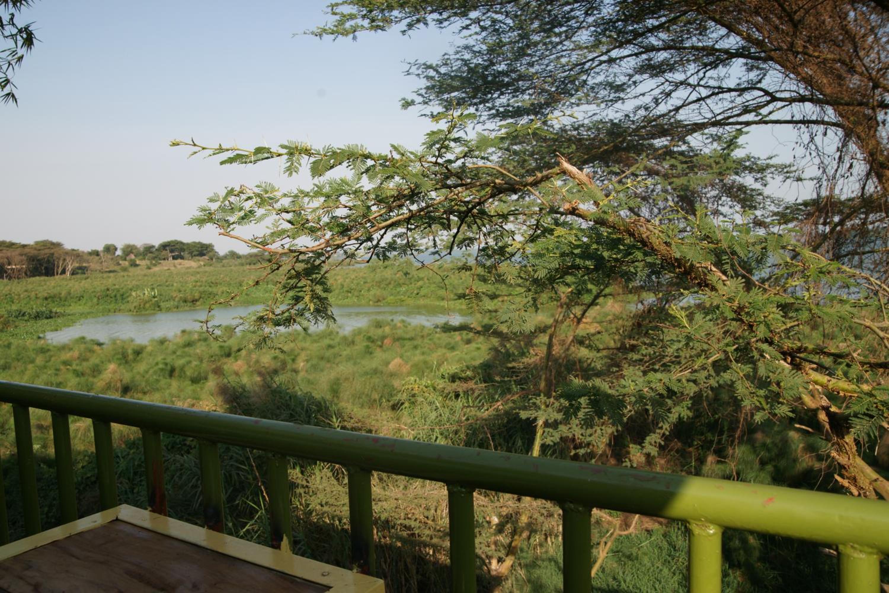 Yellow Haven Lodge