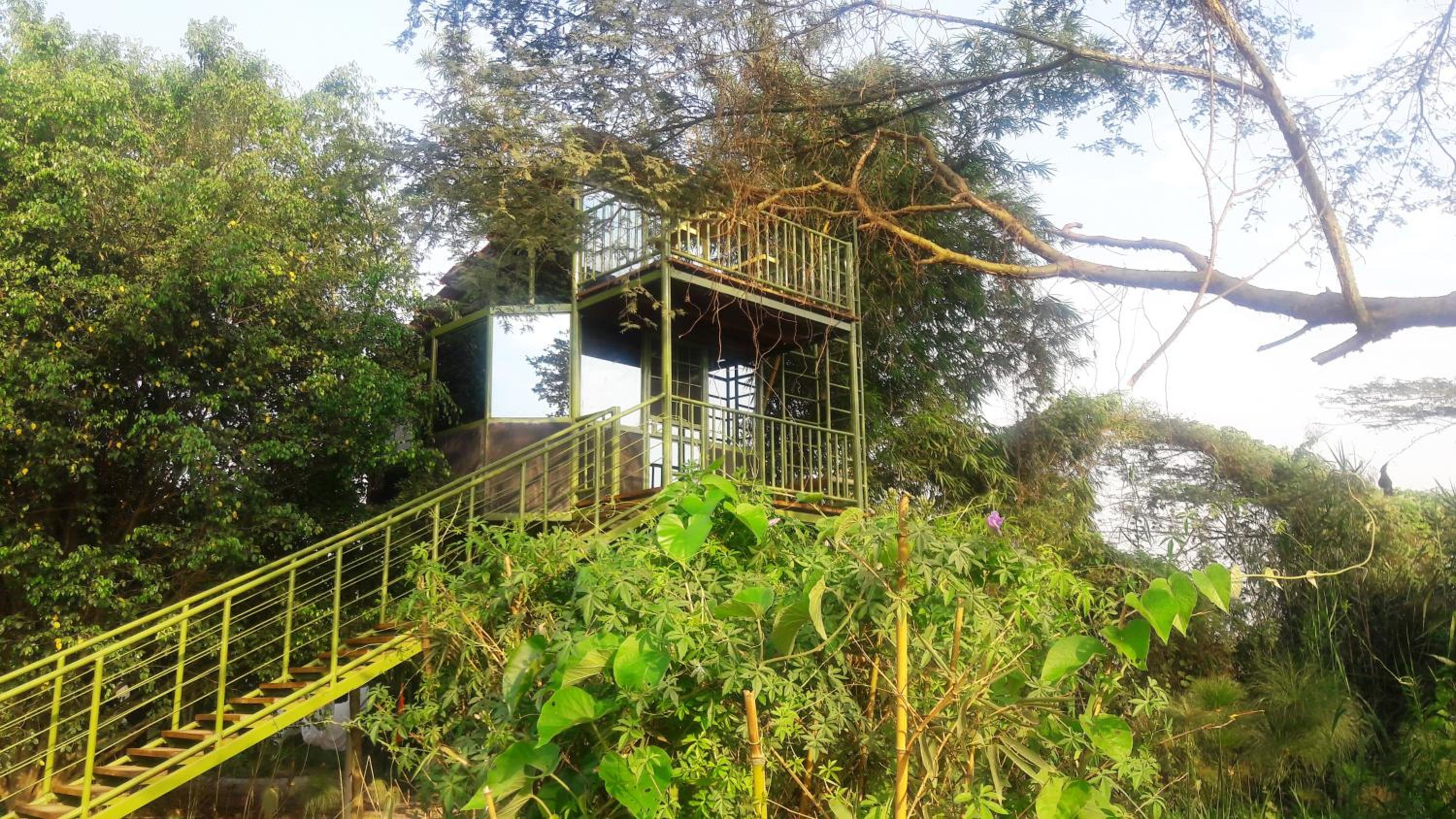 Yellow Haven Lodge