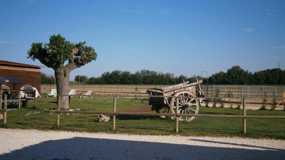 Conero Ranch