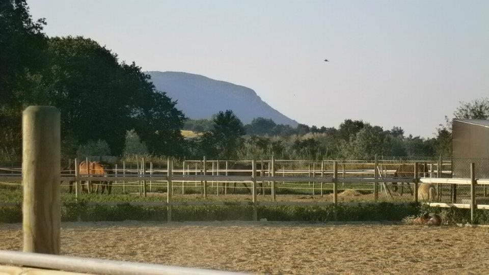 Conero Ranch