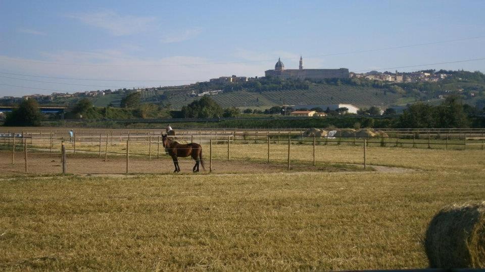 Conero Ranch