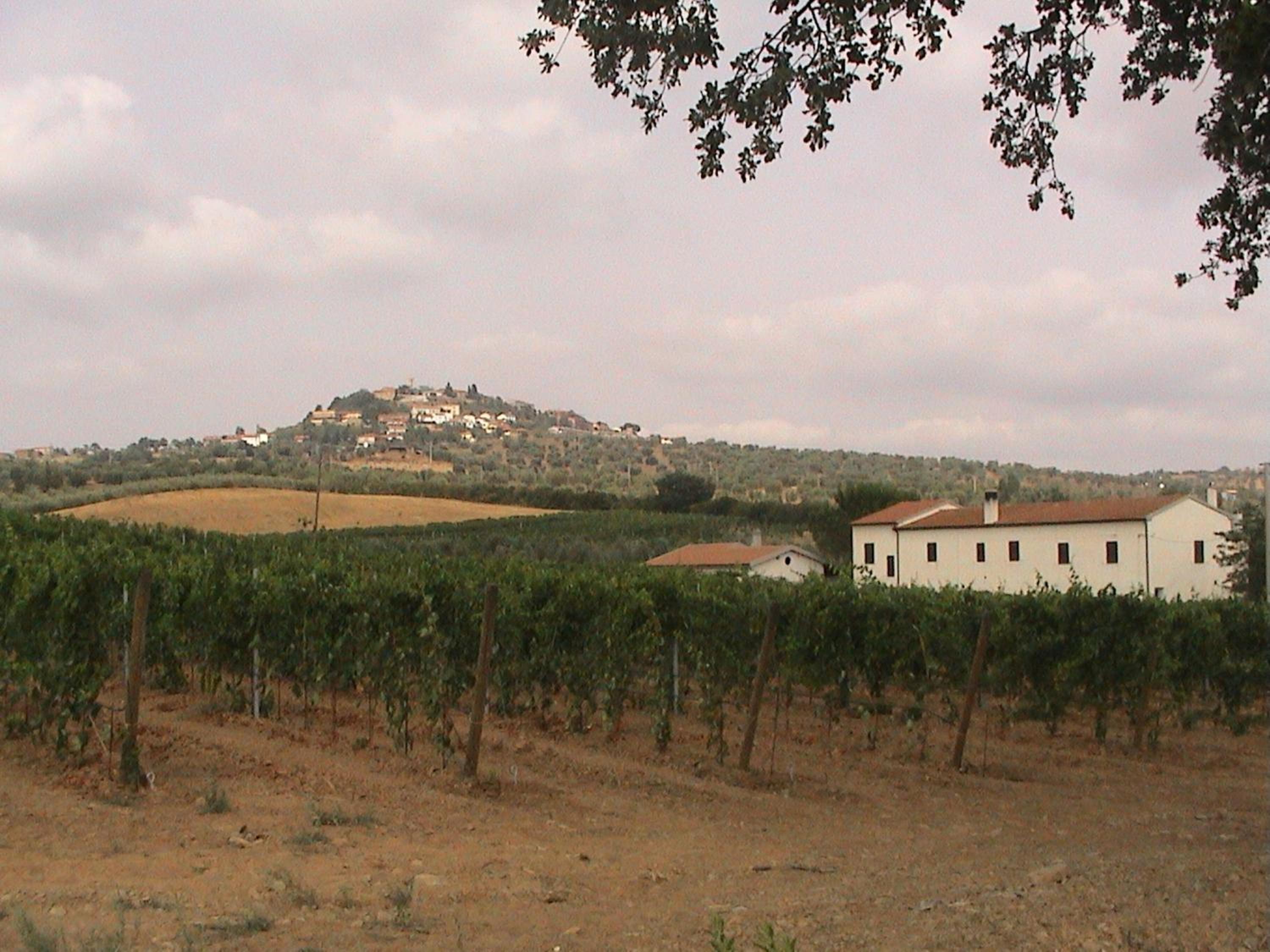 Agriturismo Vigna Mai