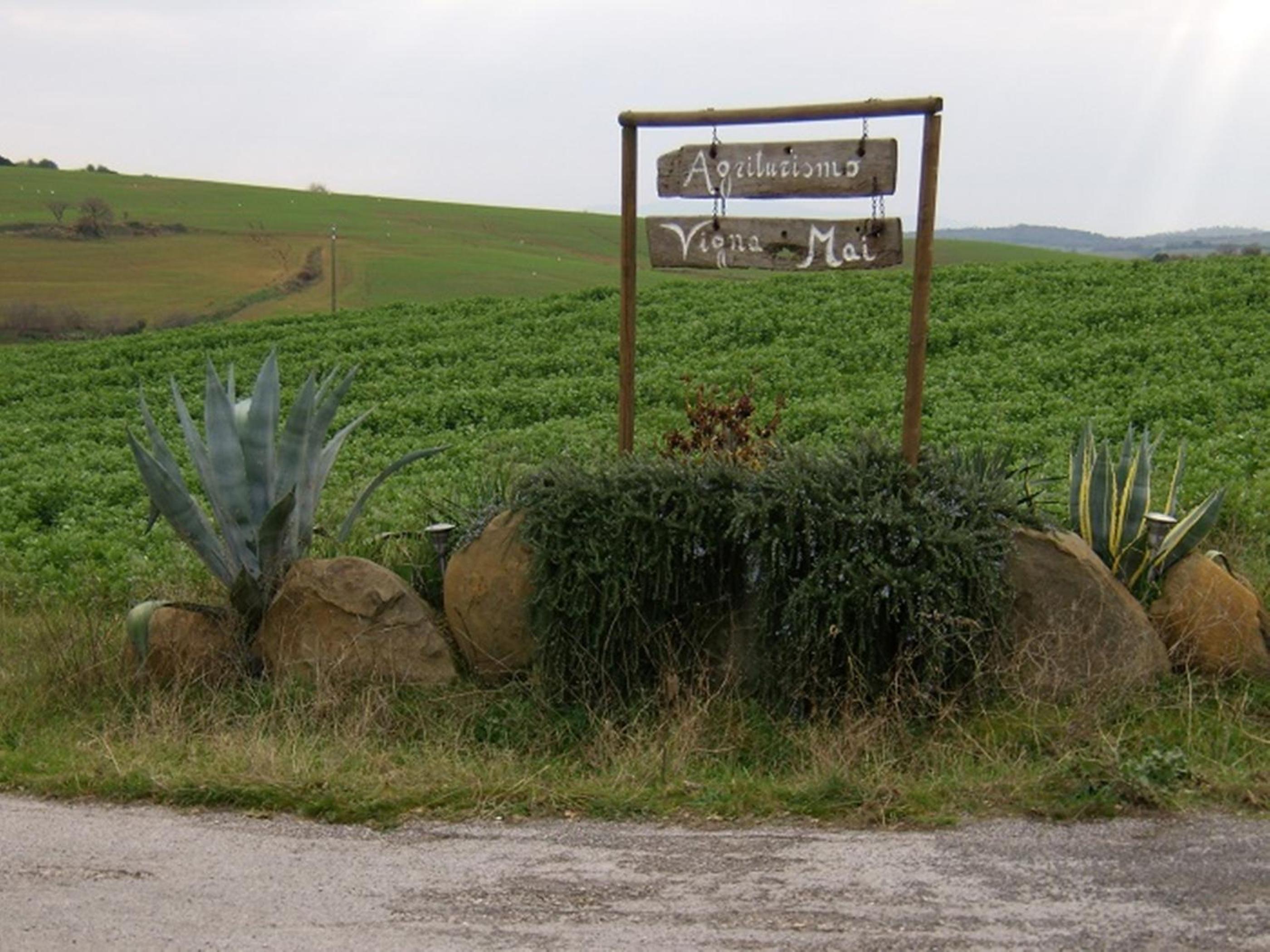 Agriturismo Vigna Mai