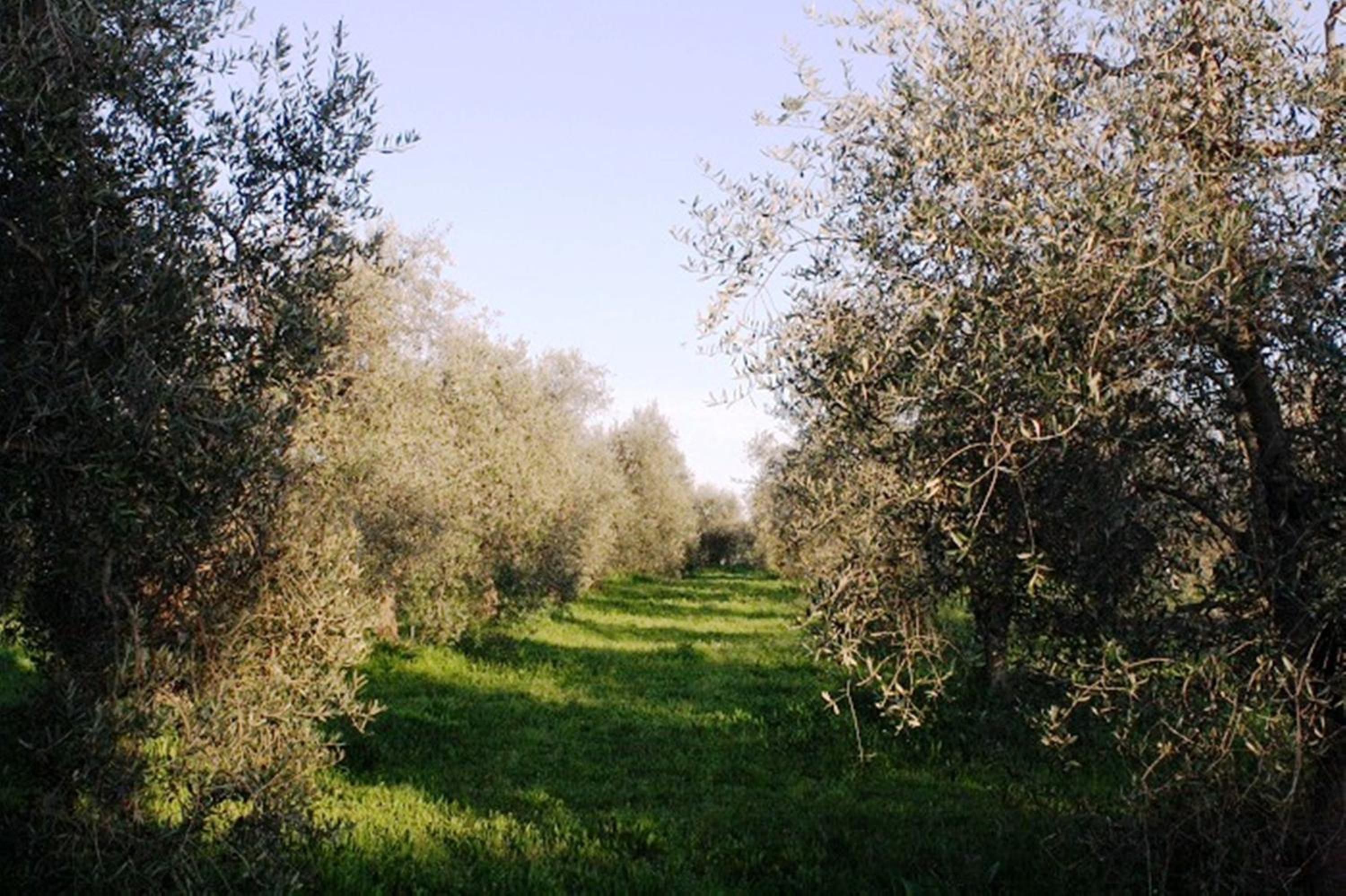 Agriturismo Vigna Mai