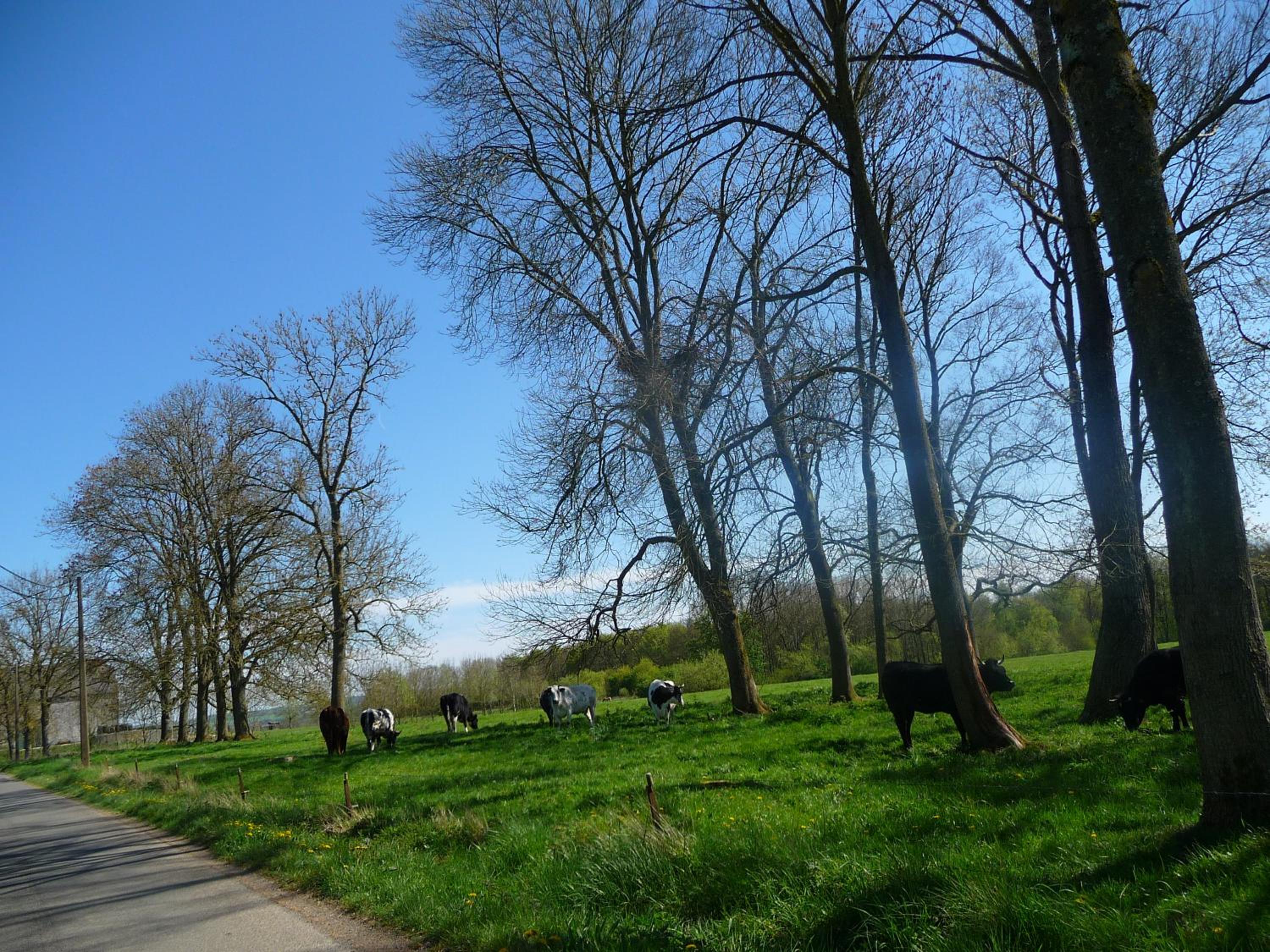Fermes du Bonheur