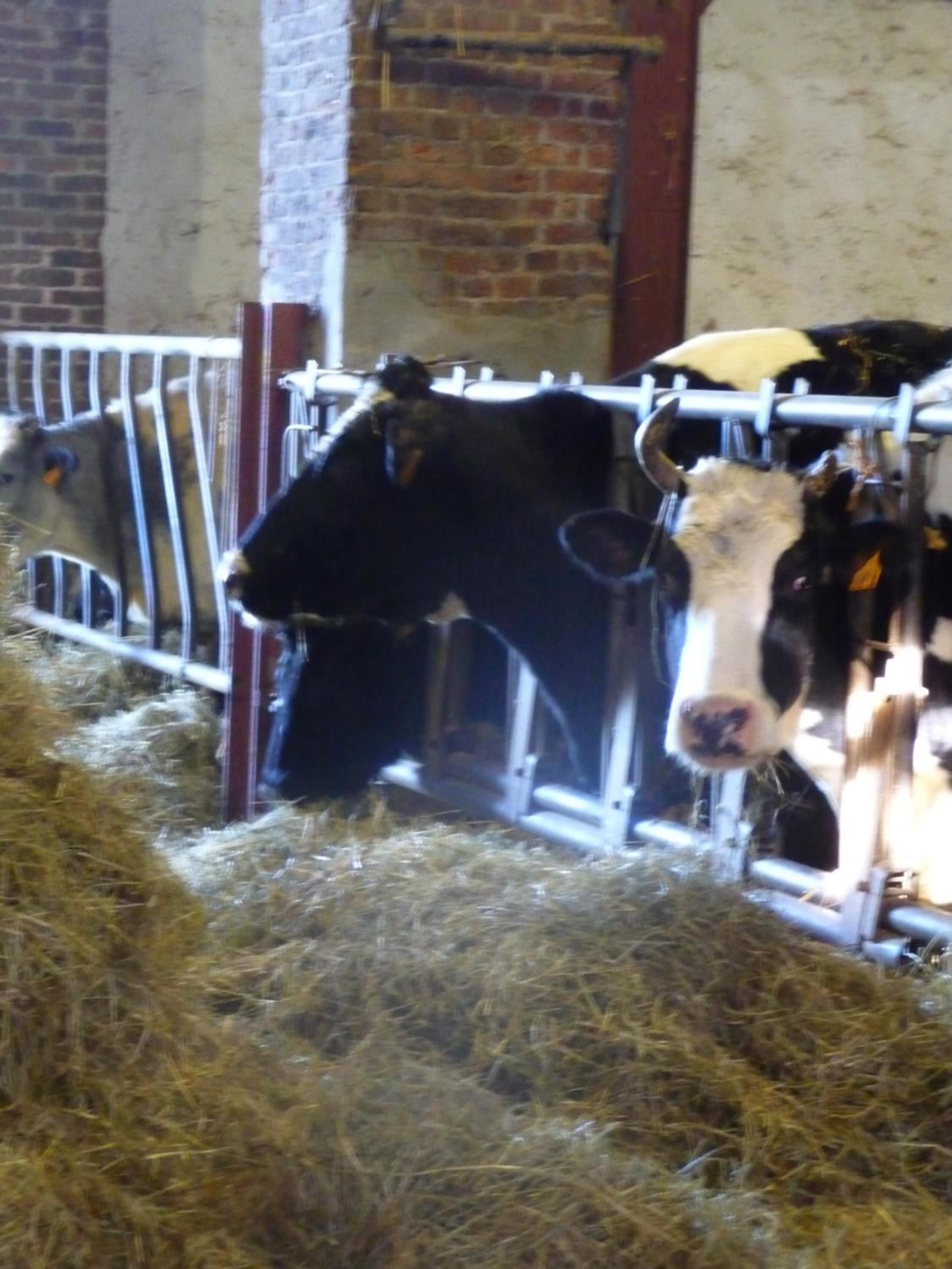 Fermes du Bonheur