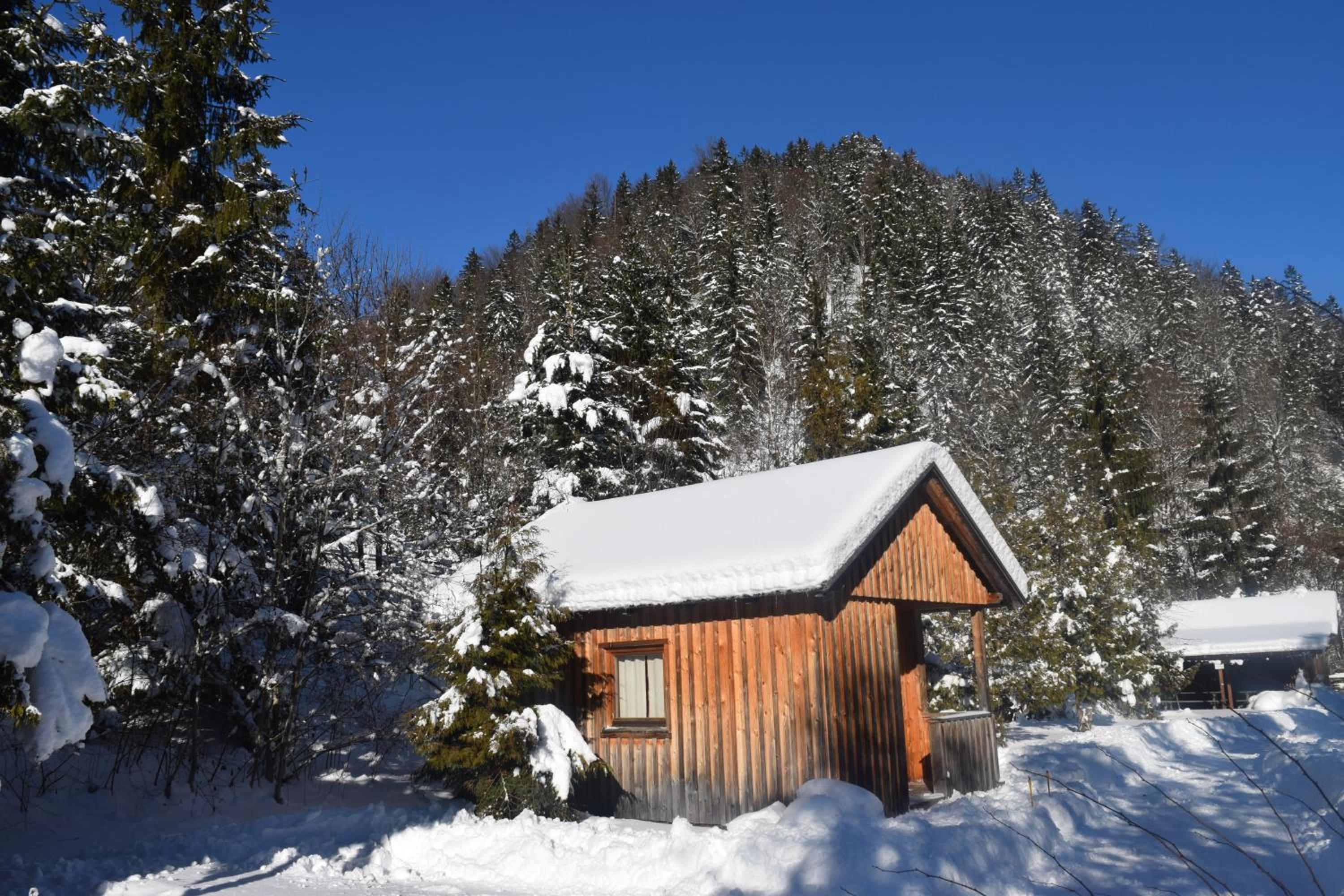Camping und Chalet Saggraben