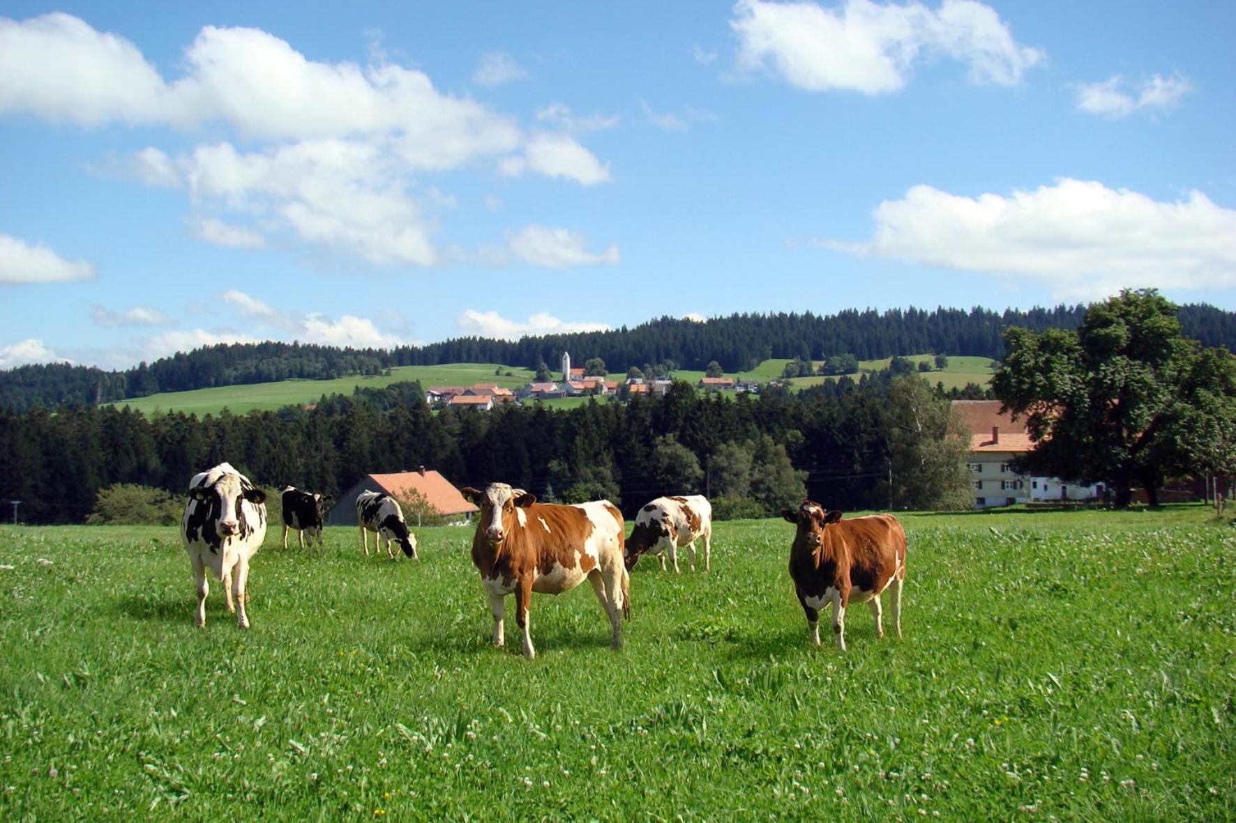 Bio-Bauernhof Heidegger